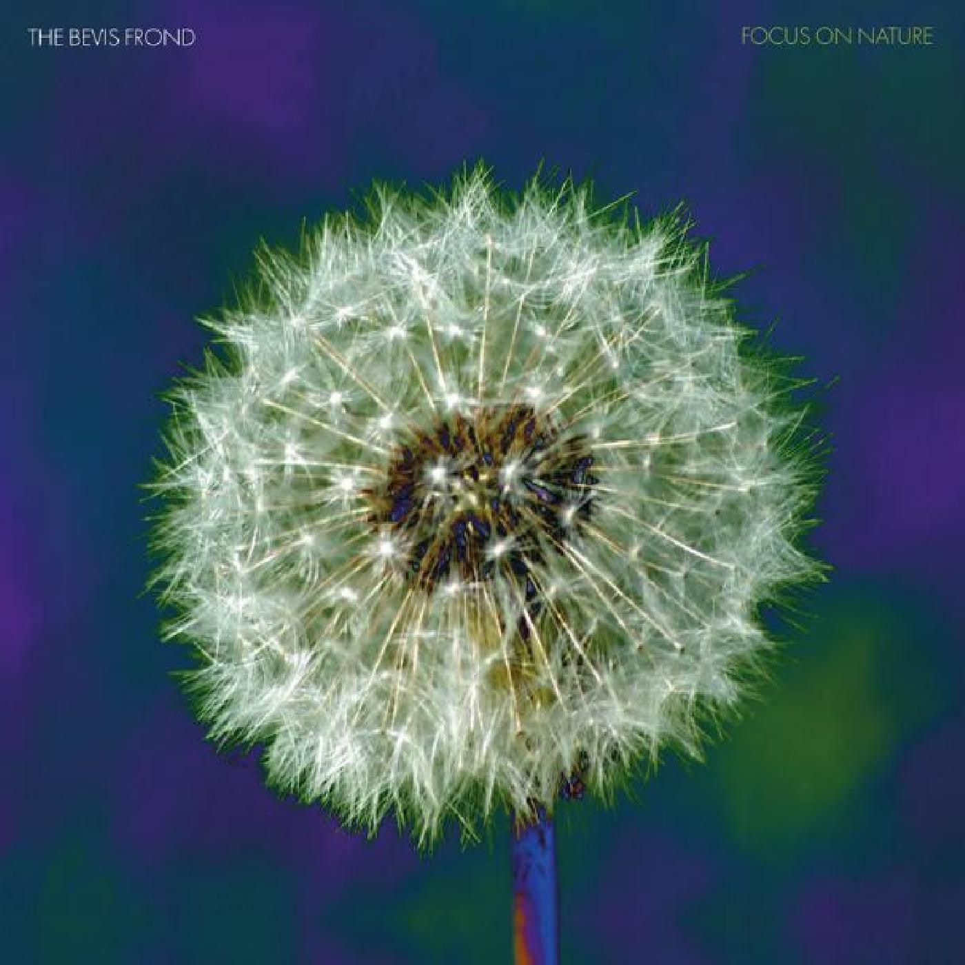 The Bevis Frond - Focus on Nature