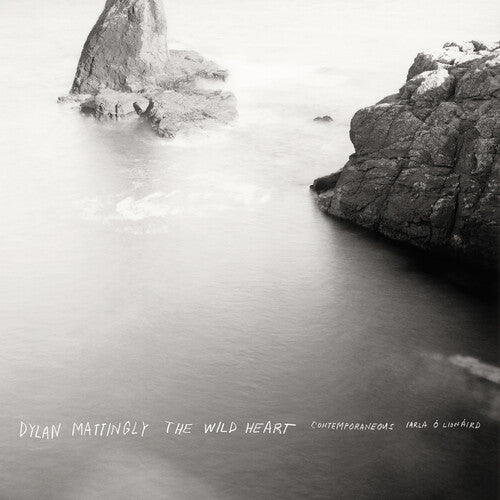 Contemporaneous w/ David Bloom - Dylan Mattingly: The Wild Heart