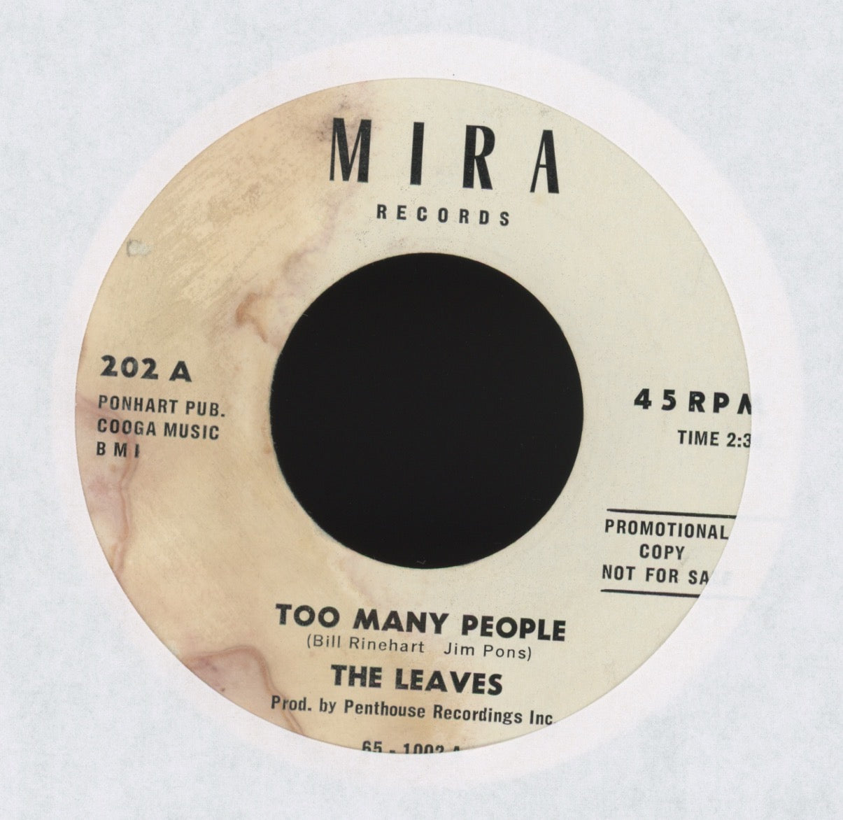 The Leaves - Too Many People on Mira Promo Garage 45