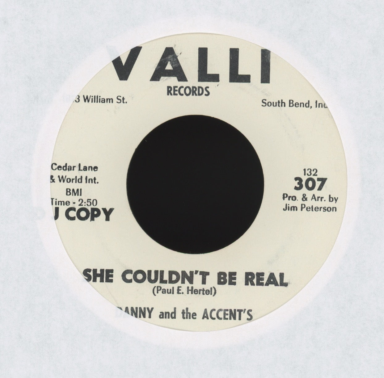 Danny and the Accents - Her Diary on Valli Promo Teen R&B 45