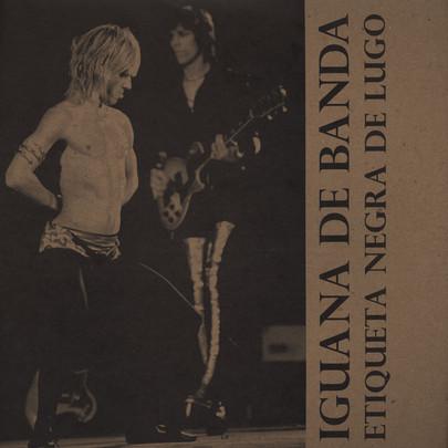 Iguana de Banda - Etiqueta negra de lugo