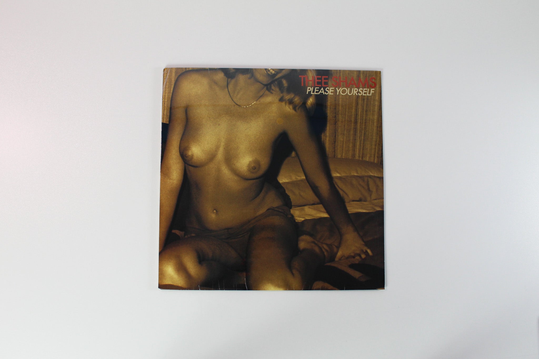 Thee Shams - Please Yourself on Shake It Sealed
