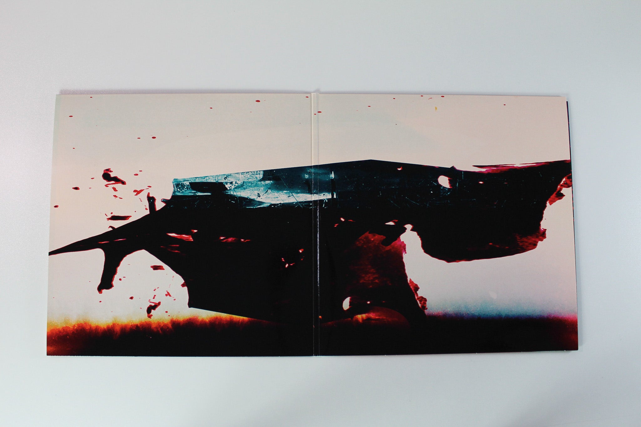 Devin Townsend - The_Puzzle on HevyDevy