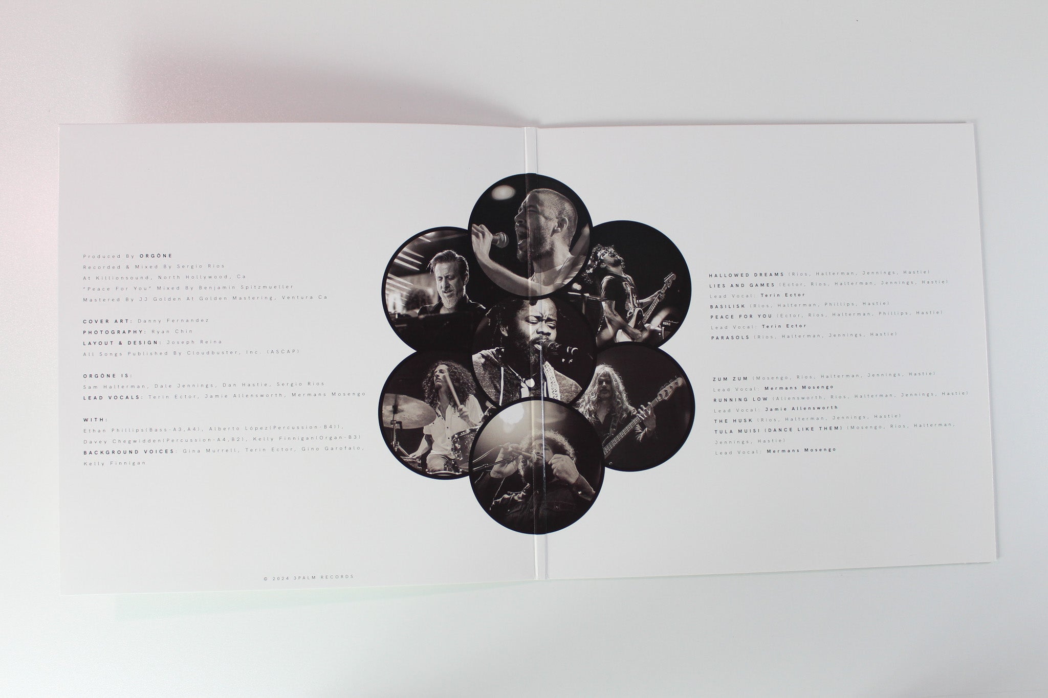 Orgone - Chimera on 3 Palm Records