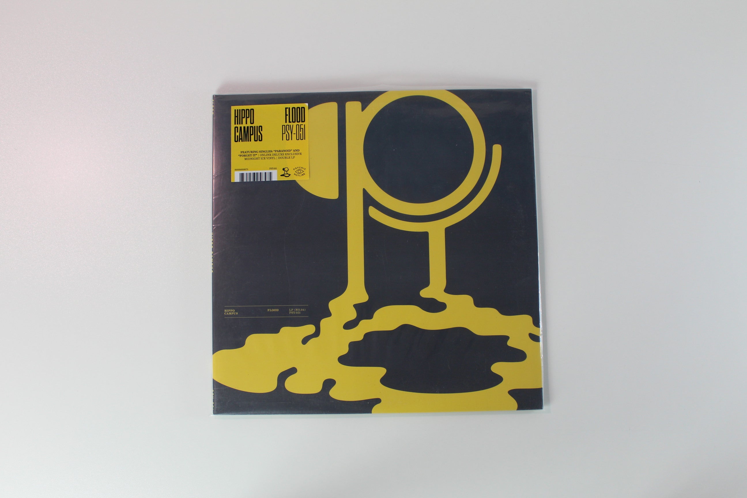 Hippo Campus - Flood Ltd. Midnight Ice Vinyl on Psychic Hotline