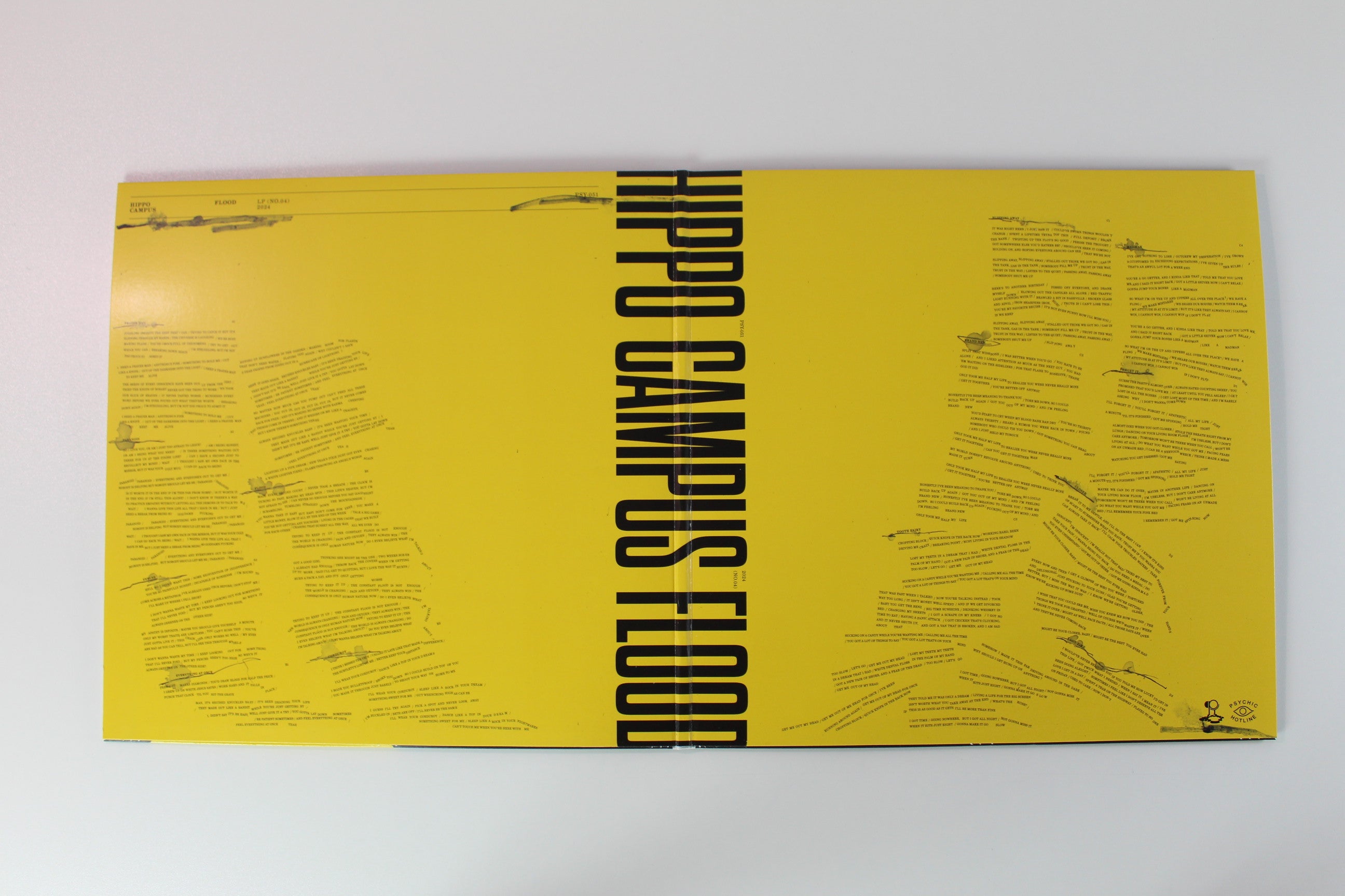 Hippo Campus - Flood Ltd. Midnight Ice Vinyl on Psychic Hotline