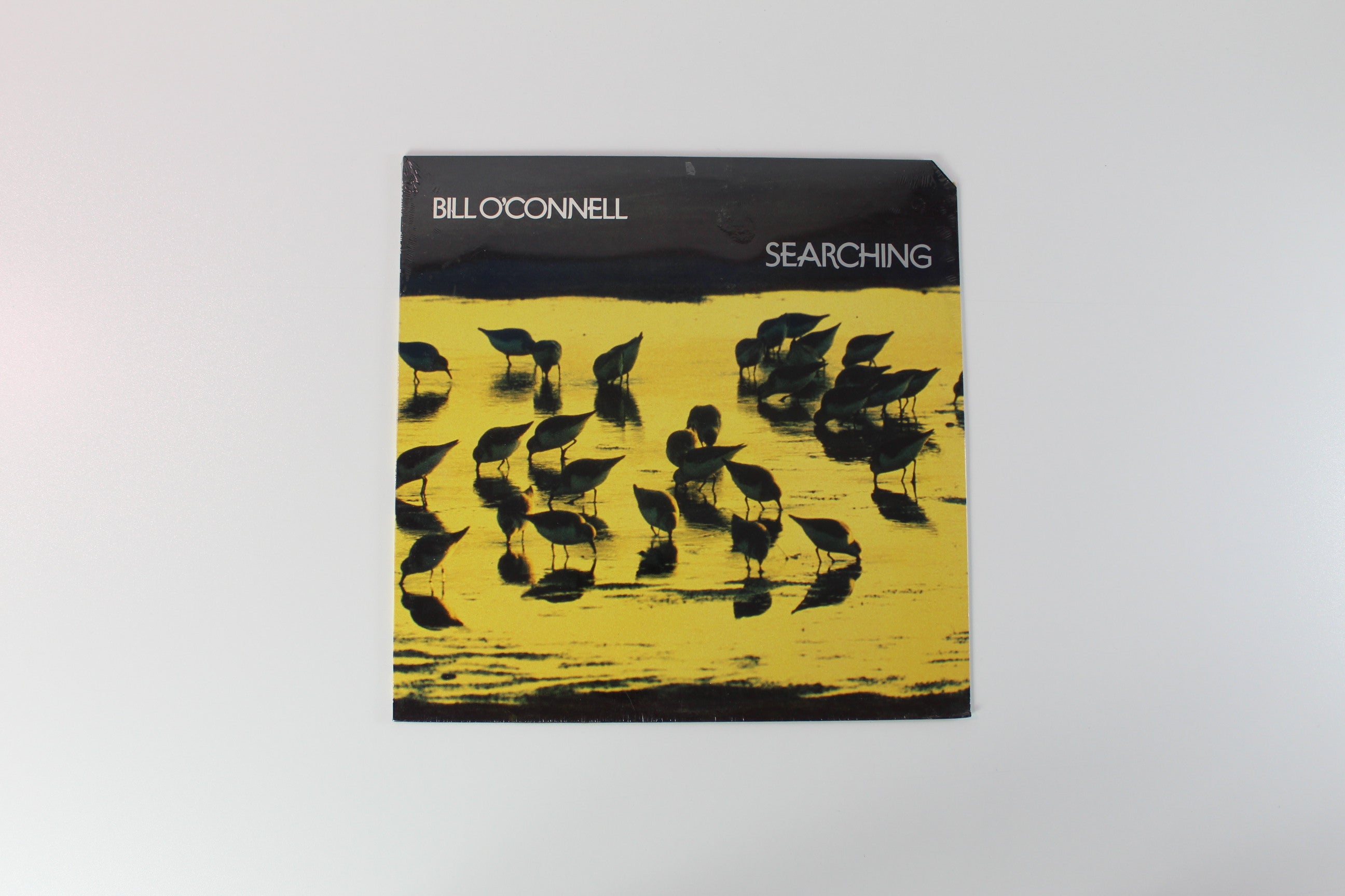 Bill O'Connell - Searching on Inner City Sealed