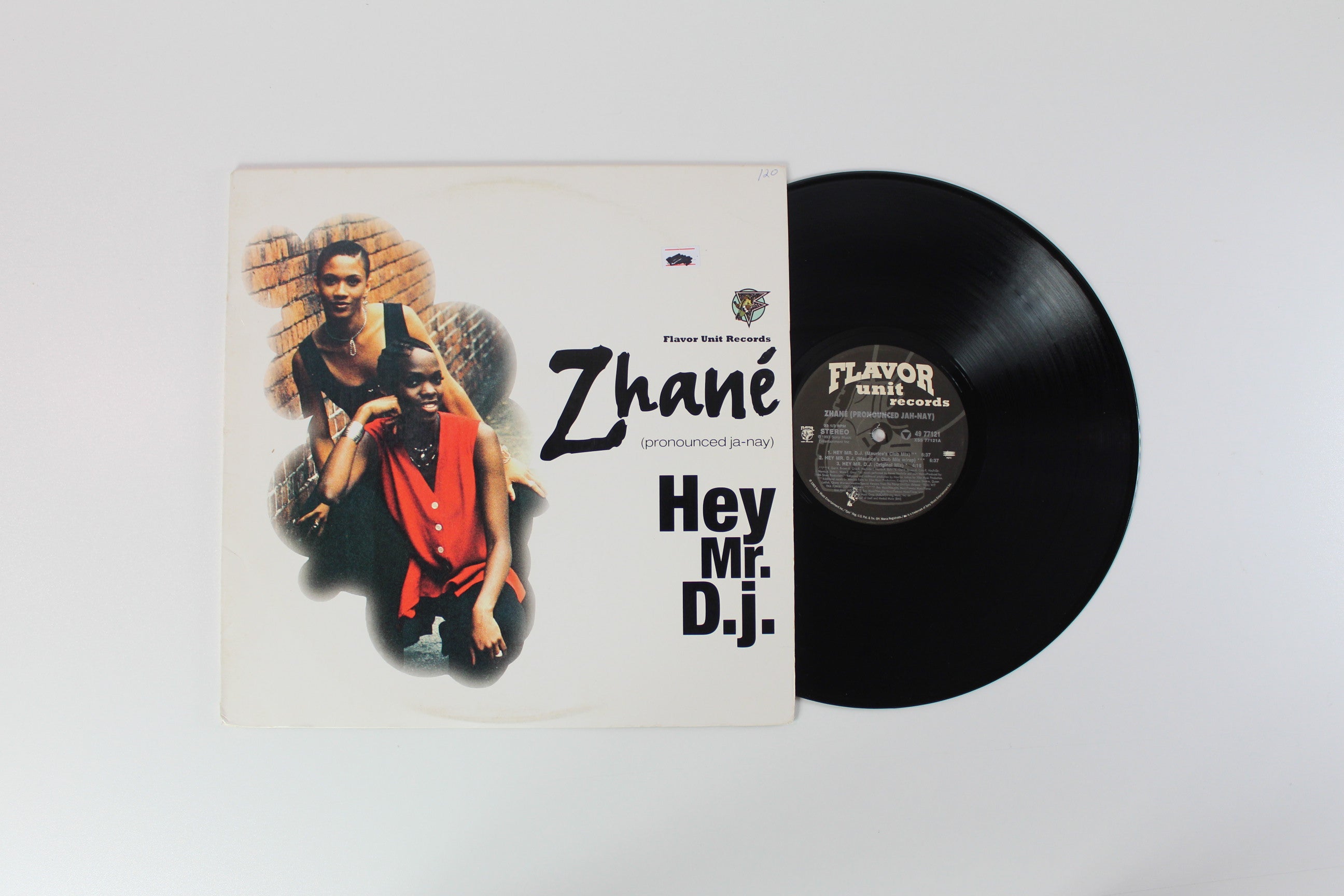 Zhané - Hey Mr. D.J. on Flavor Unit Records - 12" Single