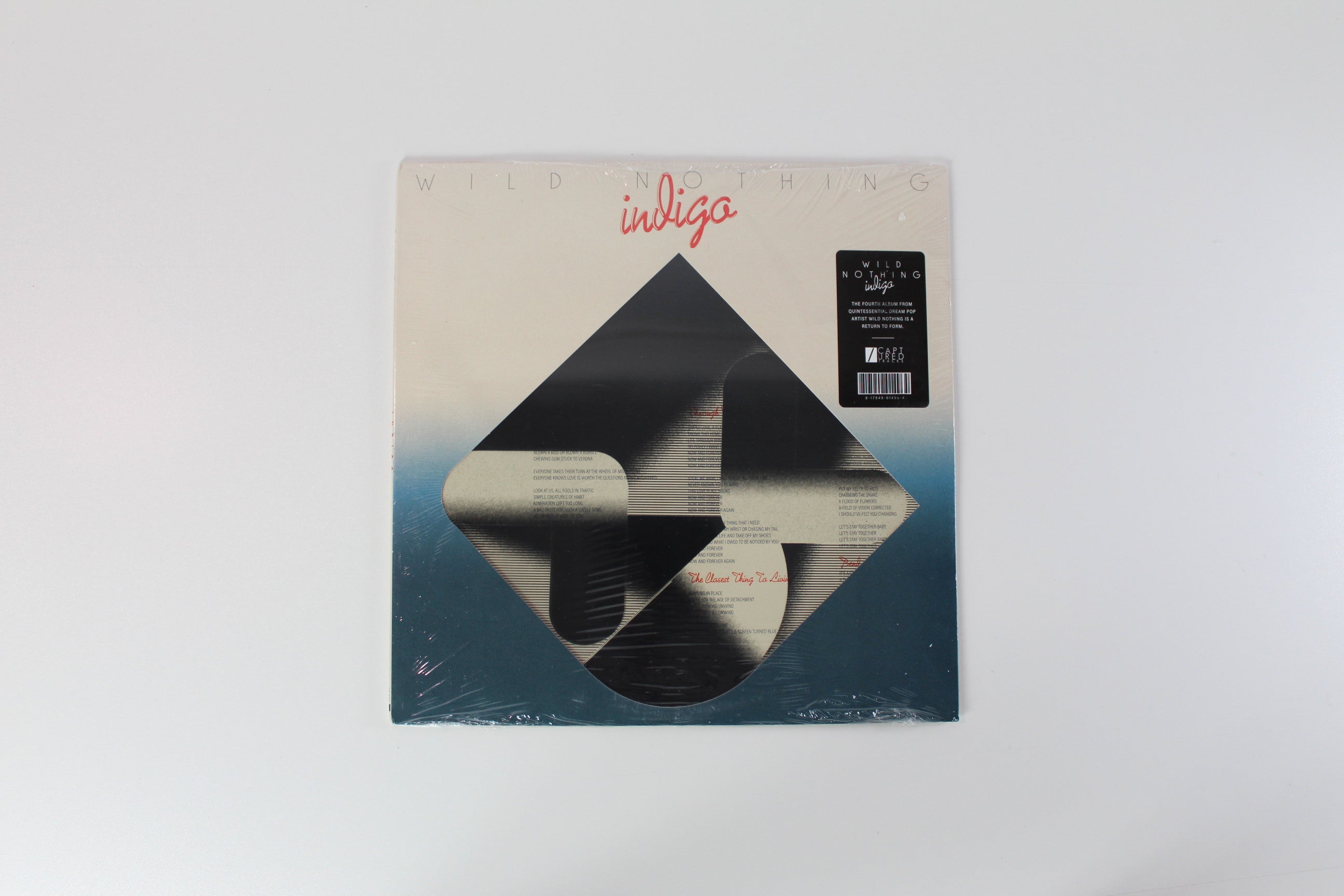 Wild Nothing - Indigo on Captured Tracks – Sealed