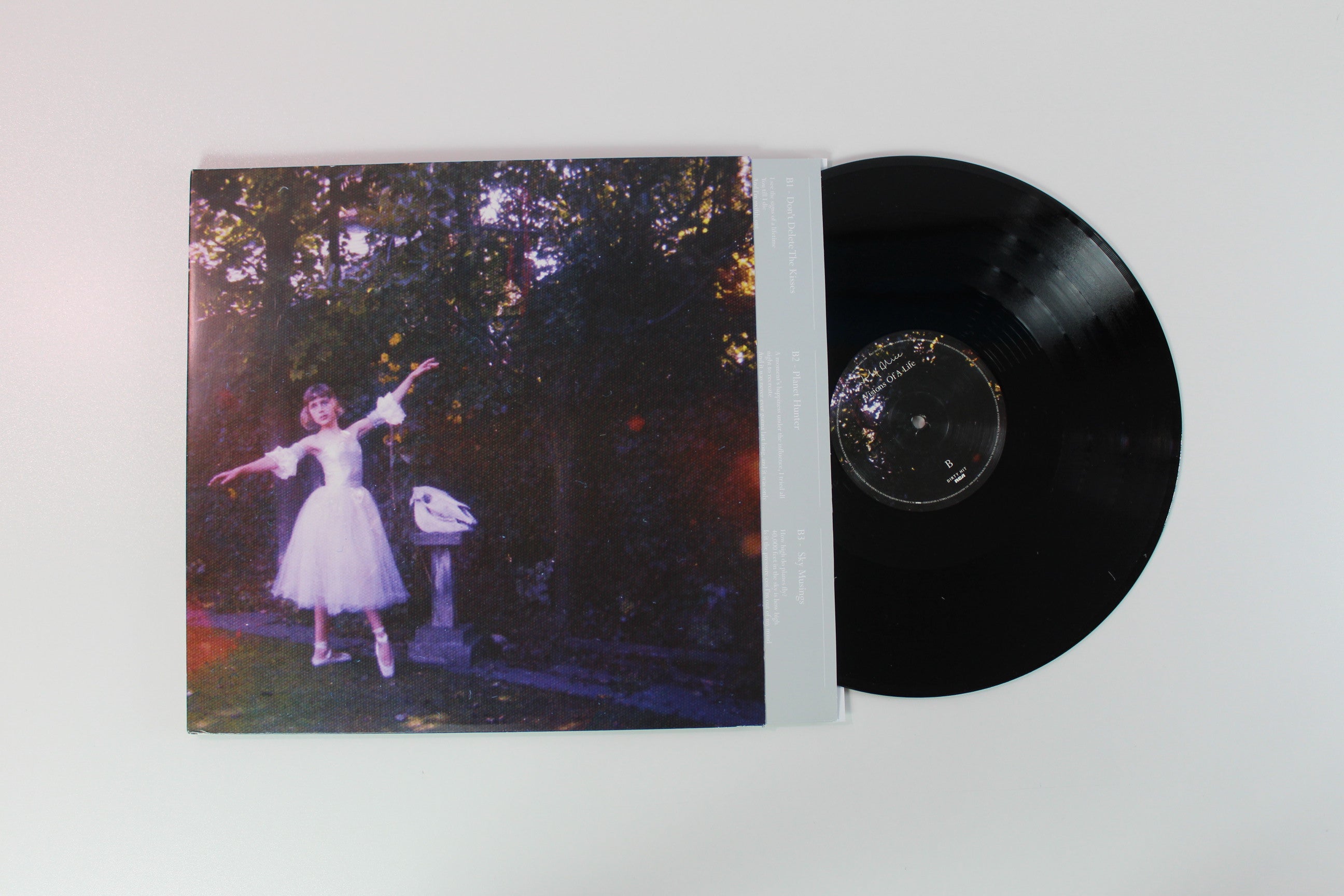 Wolf Alice - Visions Of A Life on Dirty Hit/RCA