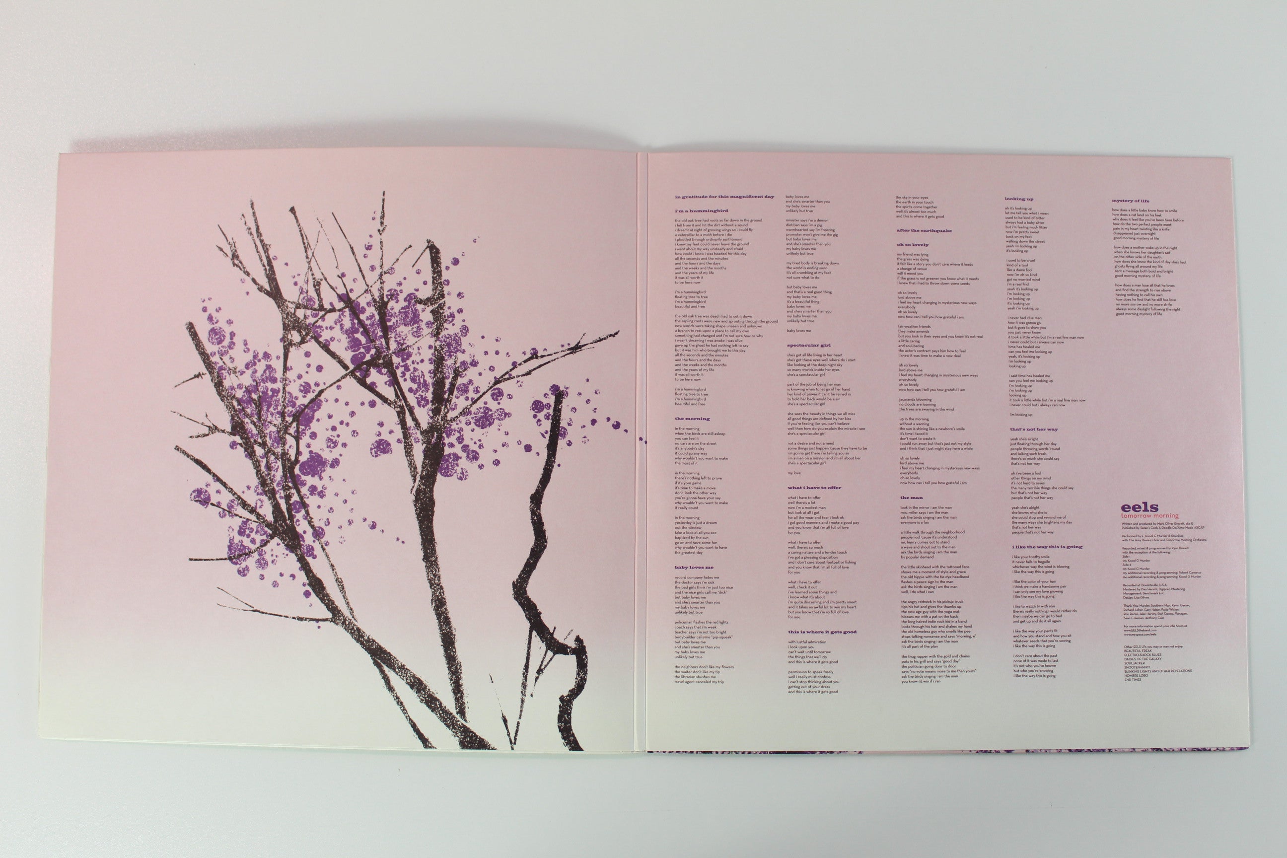 Eels - Tomorrow Morning on E Works With Bonus 7"