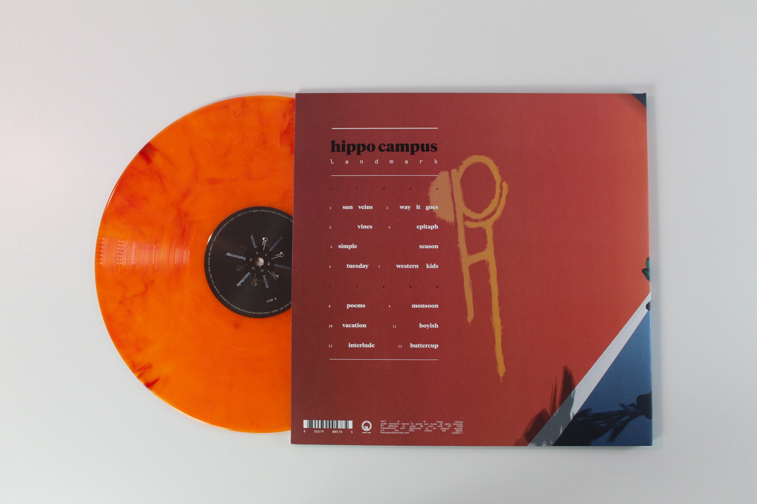 Hippo Campus - Landmark on Grand Jury Ltd Orange Sunburst Vinyl