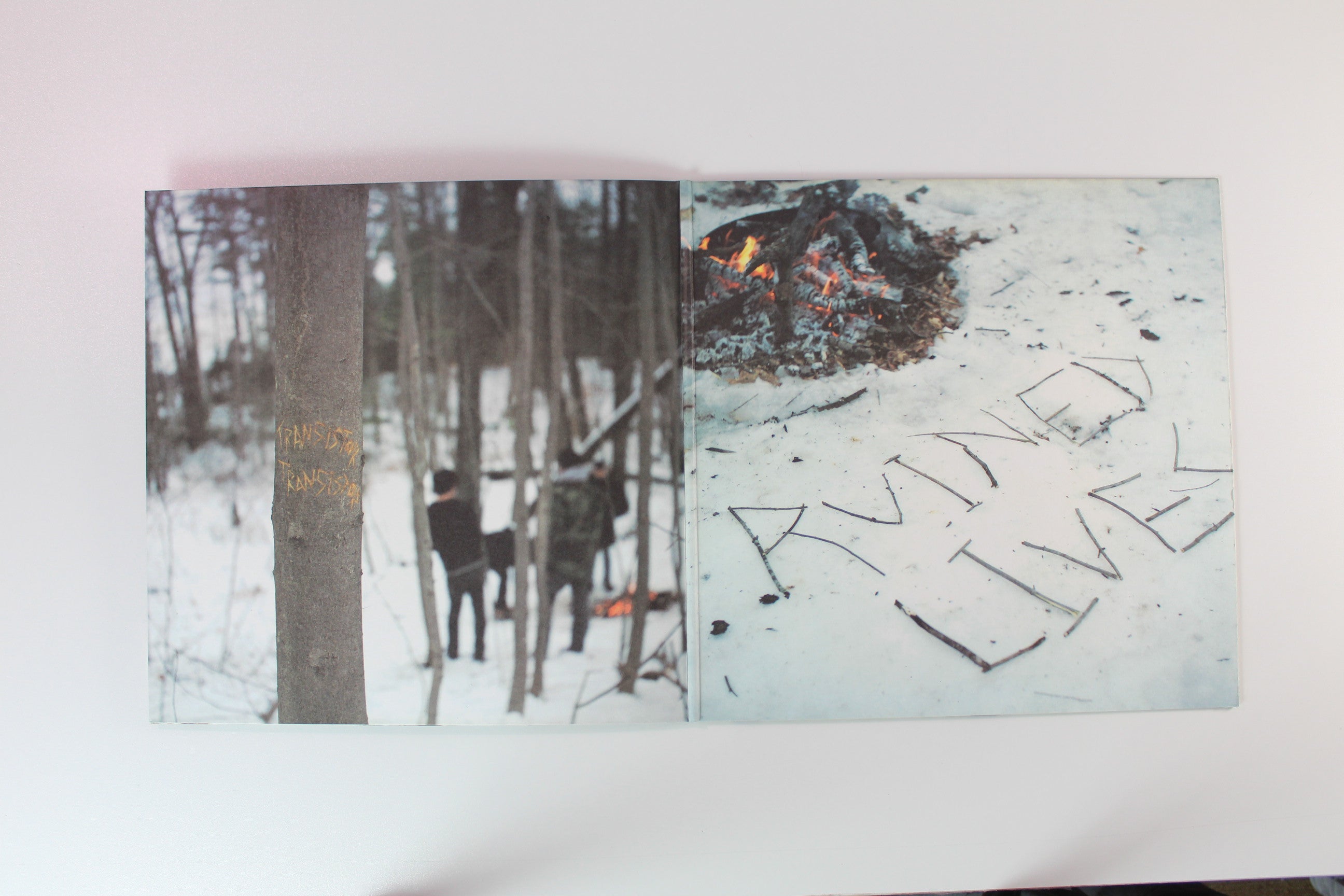 Transistor Transistor - Ruined Lives on Level Plane Records