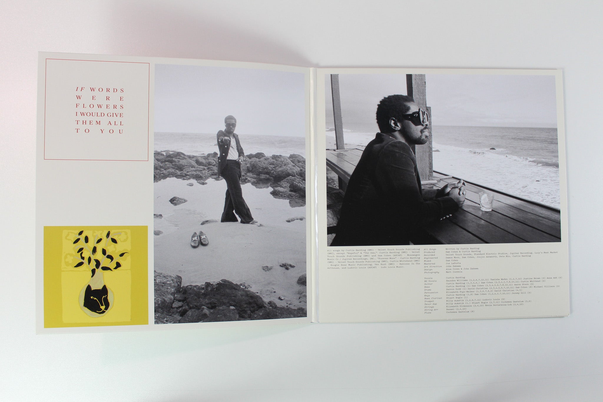 Curtis Harding - If Words Were Flowers on Anti-