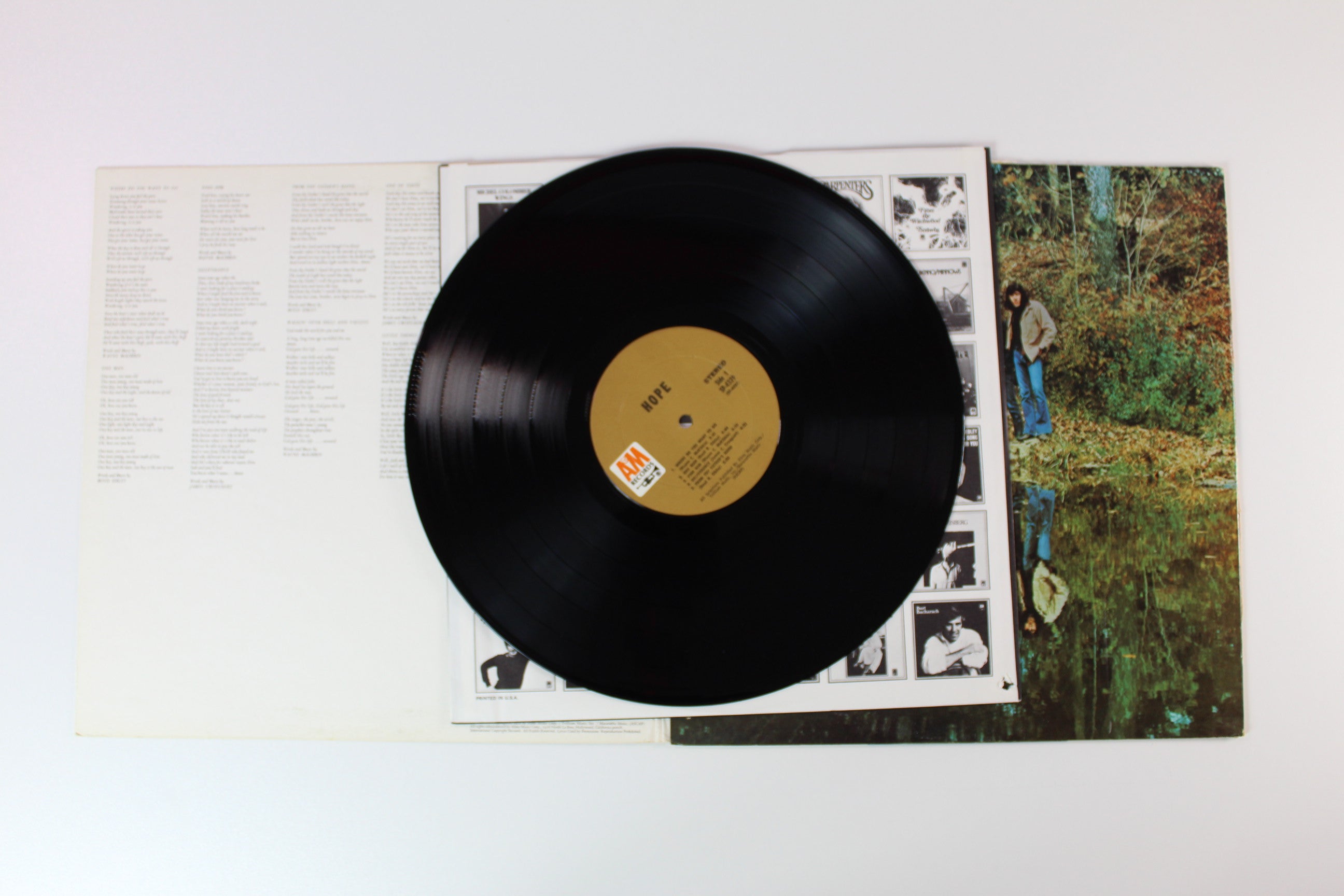 Hope - Hope on A&M Records