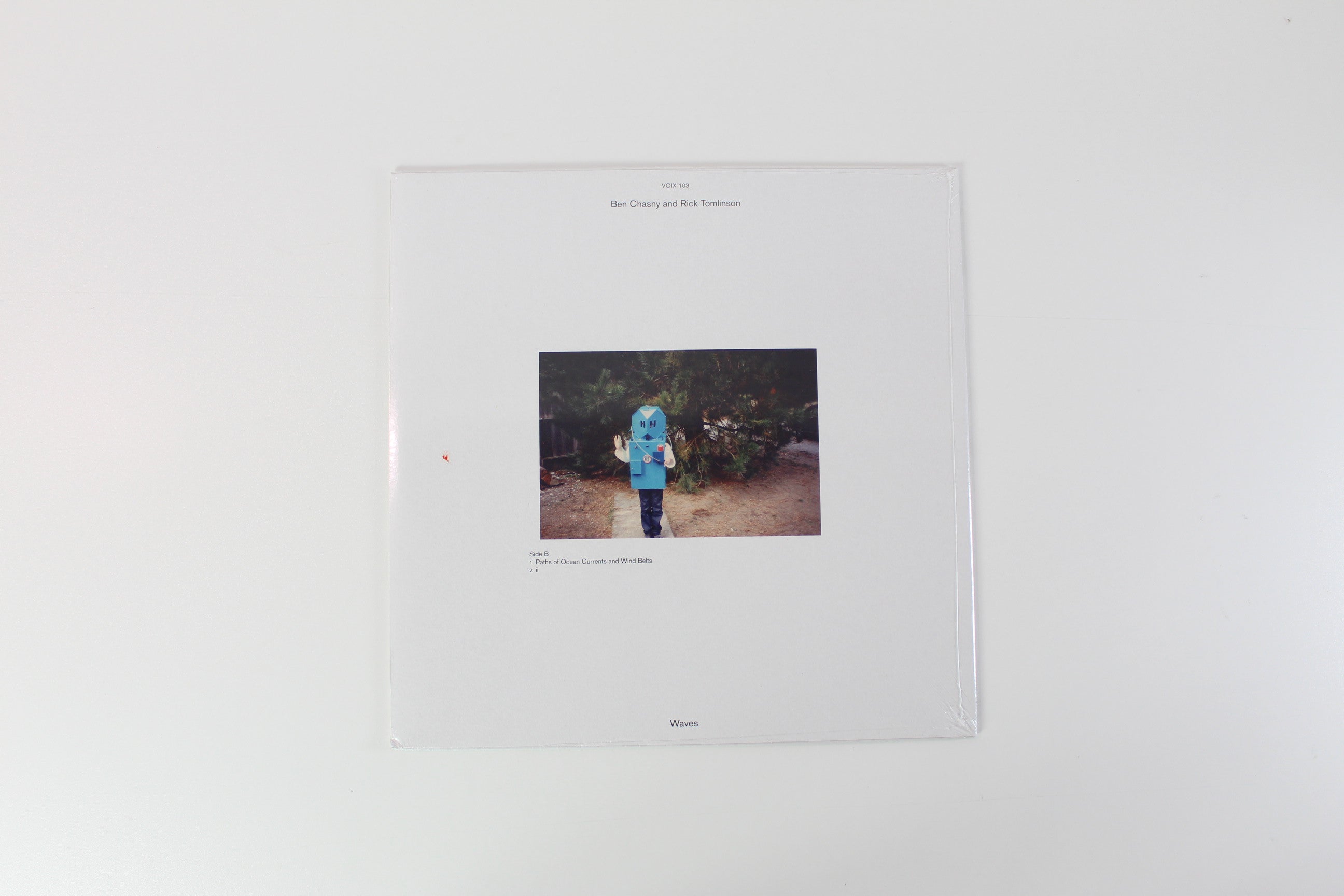 Ben Chasny, Rick Tomlinson - Waves on Voix Records - Limited Edition - Sealed