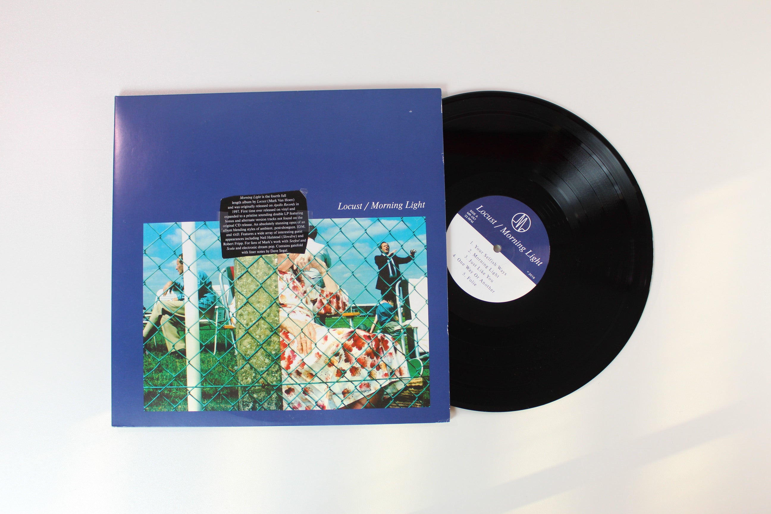 Locust - Morning Light on Medical Reissue