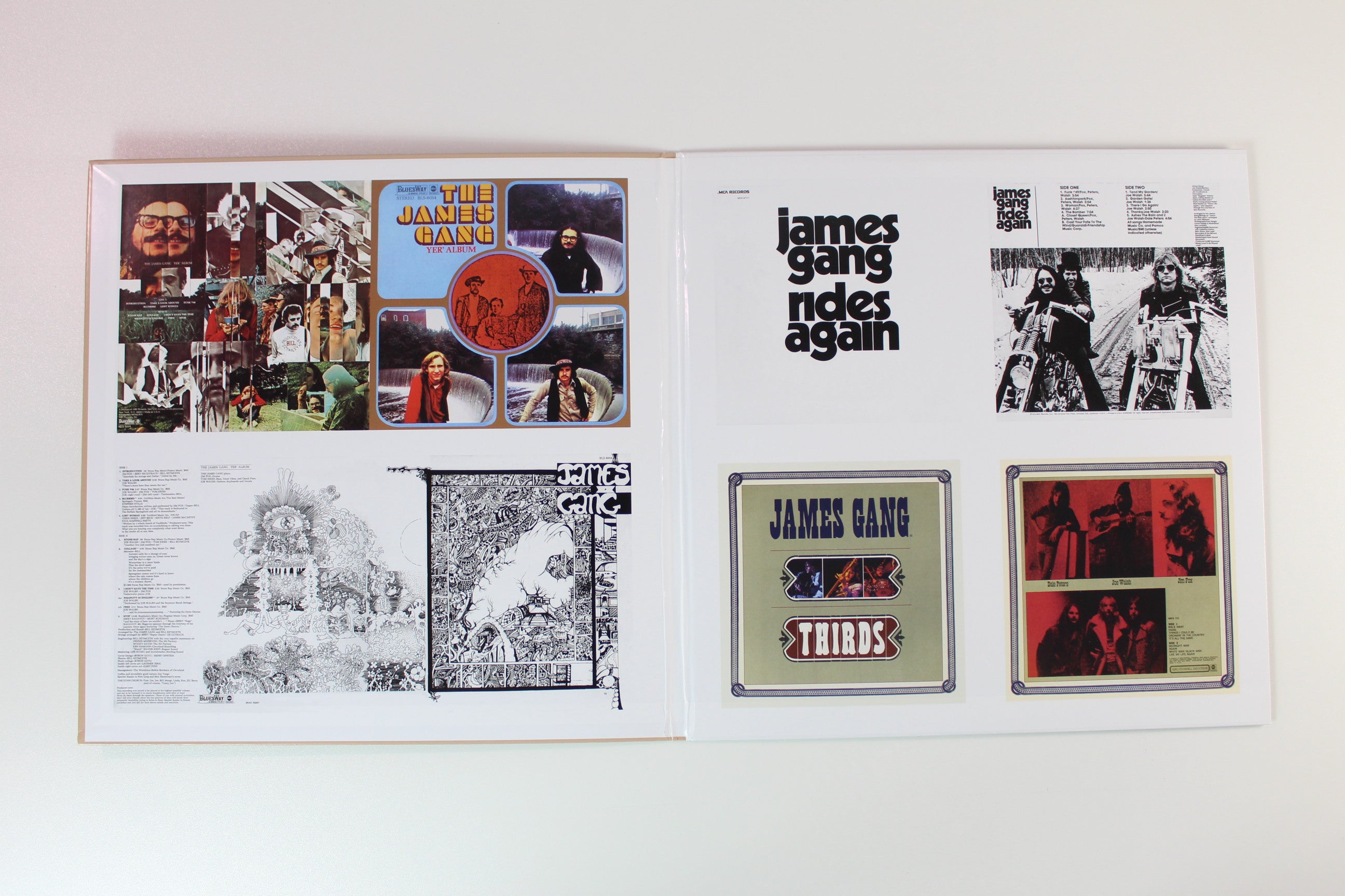 James Gang - The Best Of The James Gang Featuring Joe Walsh on Analogue Productions 180 Gram Reissue