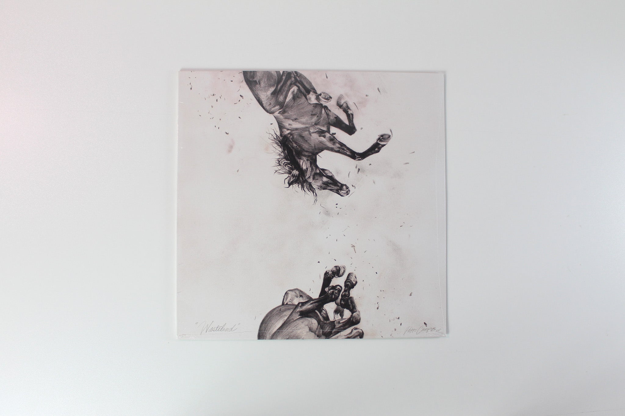 Hippo Campus - Wasteland on Grand Jury Ltd Smoke Vinyl Sealed