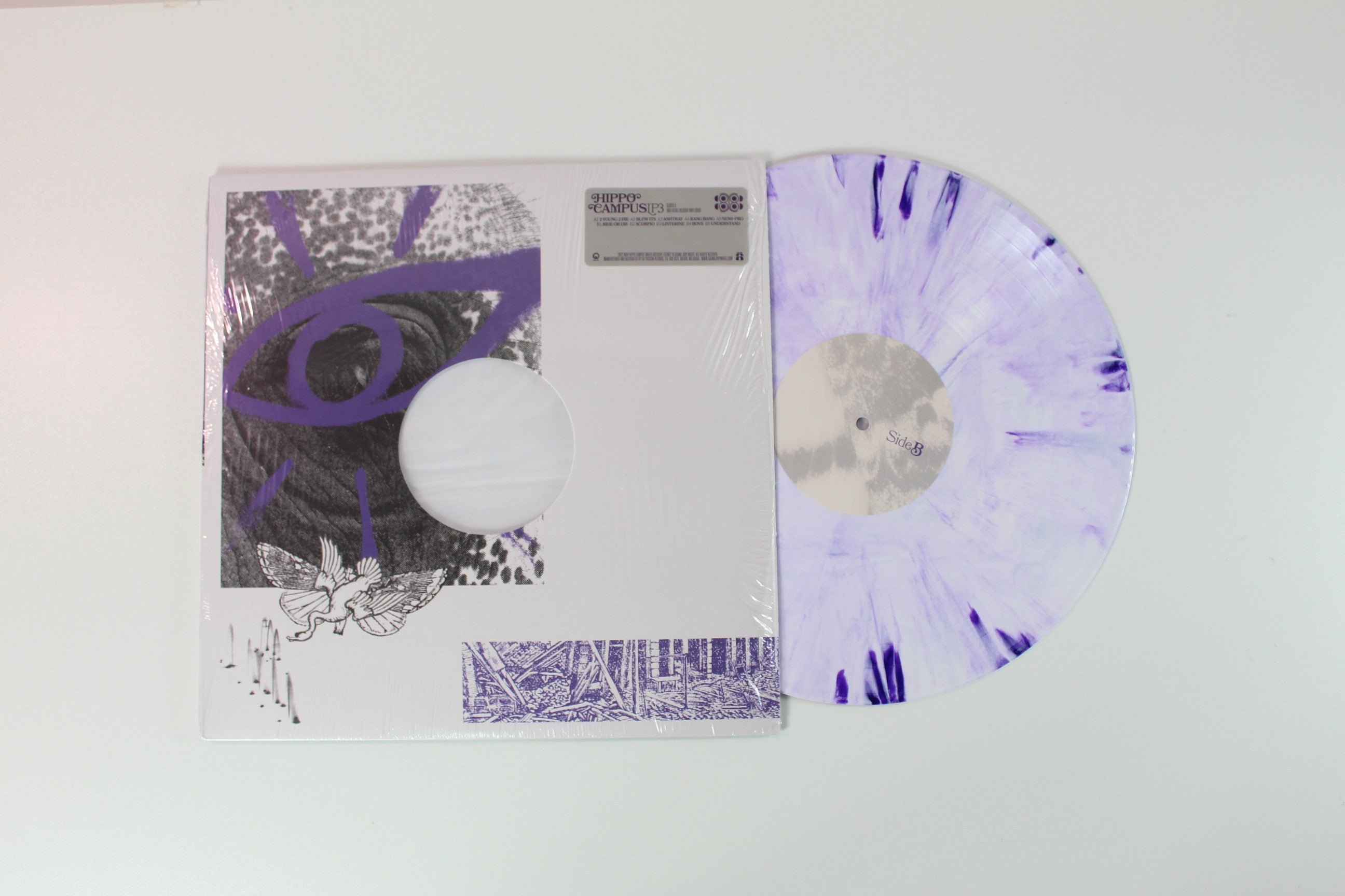 Hippo Campus - LP3 on Grand Jury Purple Swirl Opaque