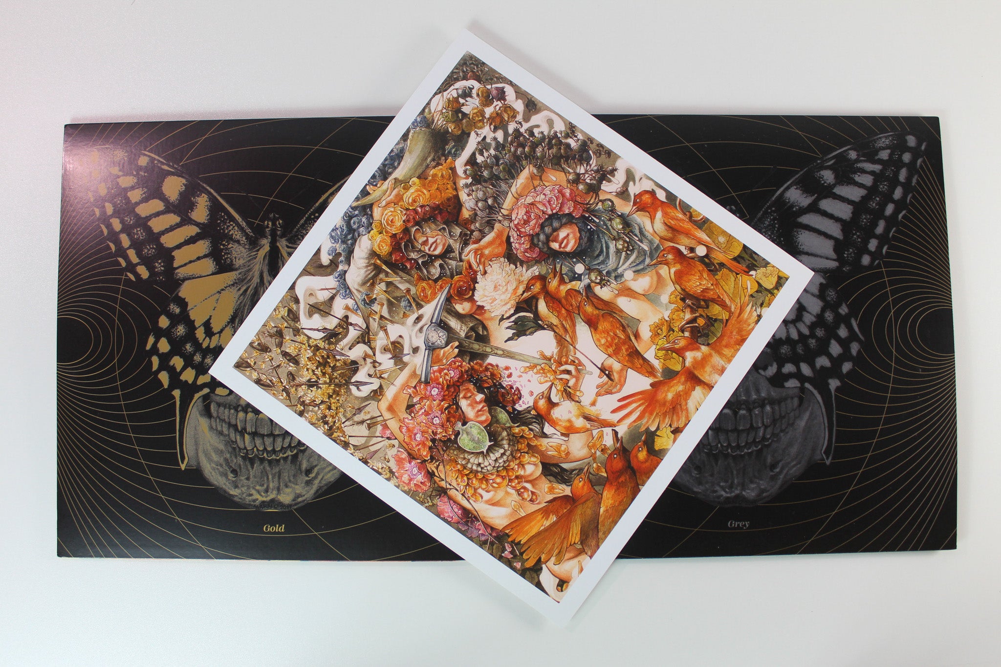 Baroness - Gold & Grey on Abraxan Hymns Ltd Red / Blue Transparent