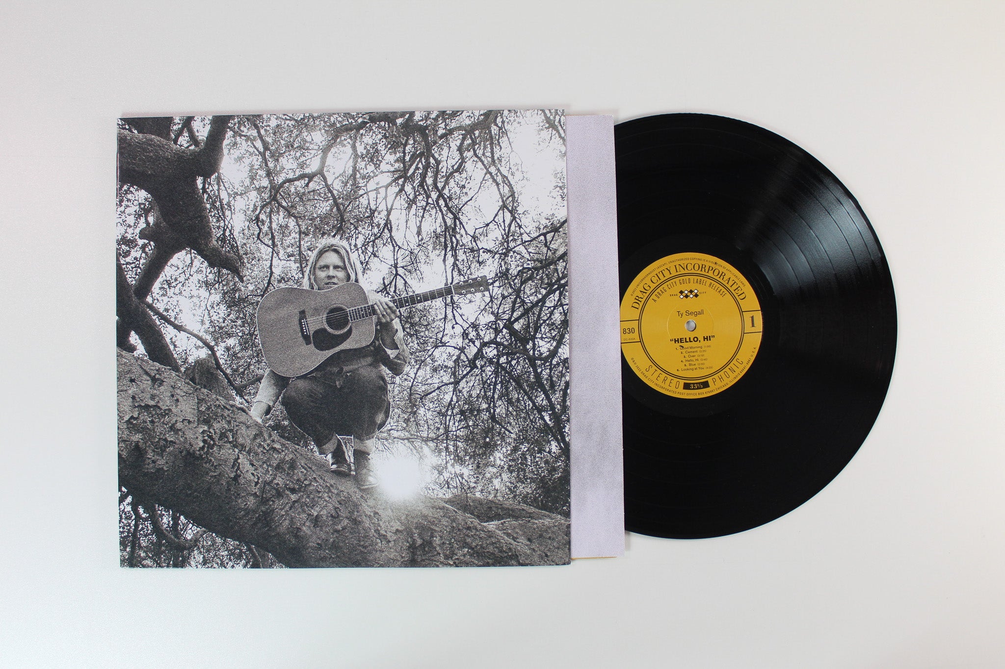 Ty Segall - "Hello, Hi" on Drag City