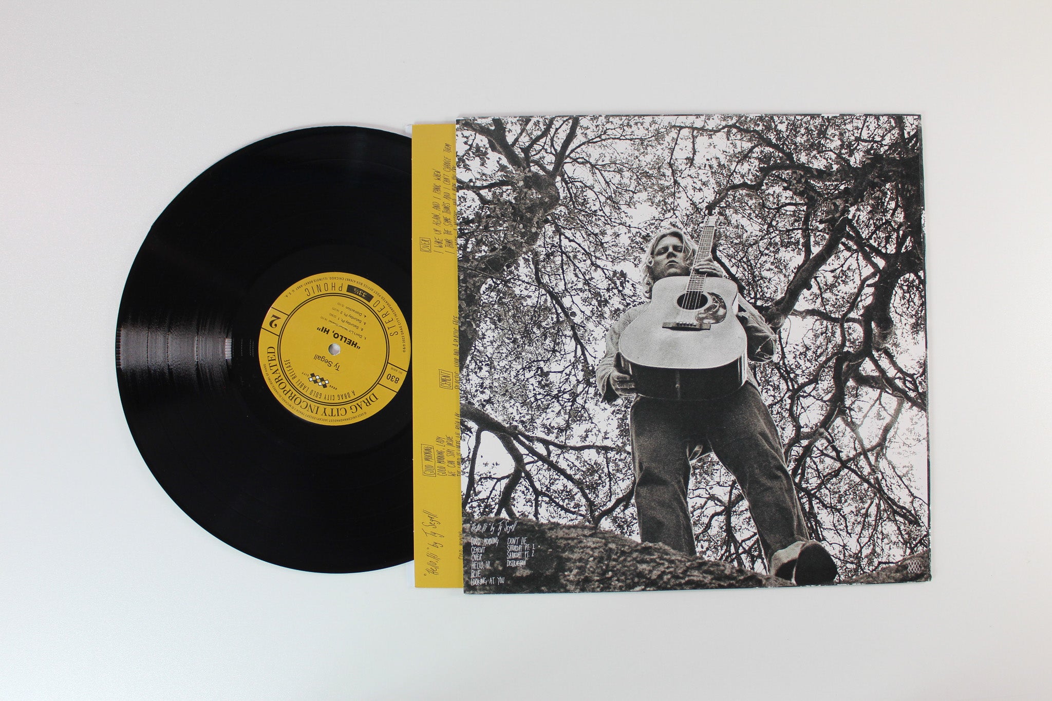 Ty Segall - "Hello, Hi" on Drag City