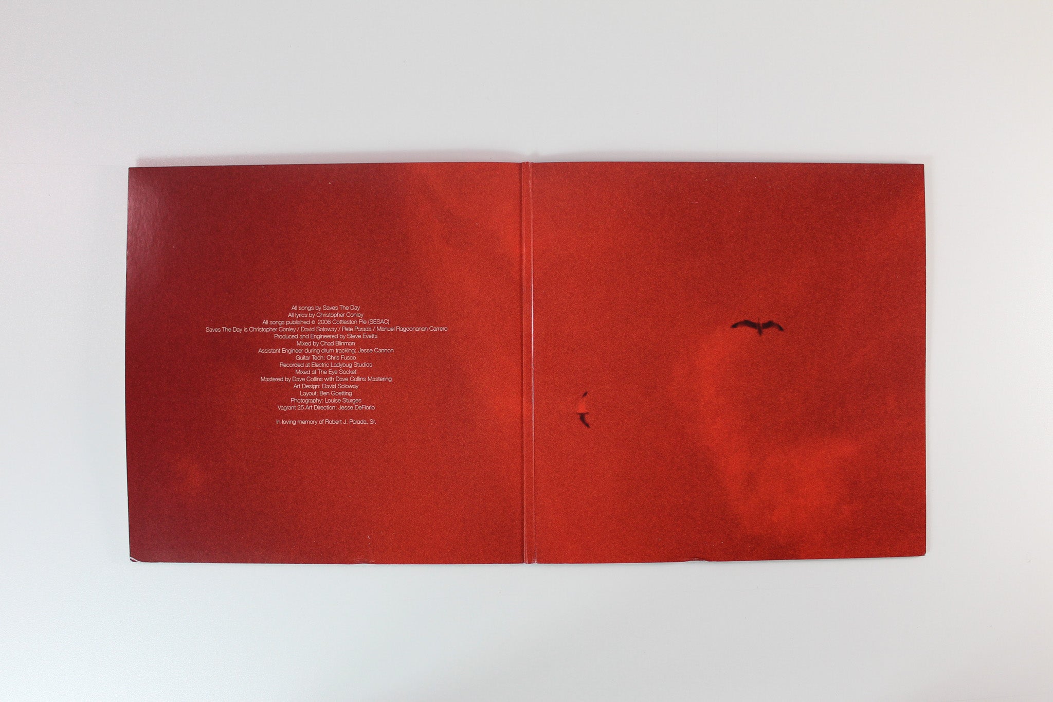Saves The Day - Sound The Alarm on Vagrant Yellow Marble 2 X 10" Reissue