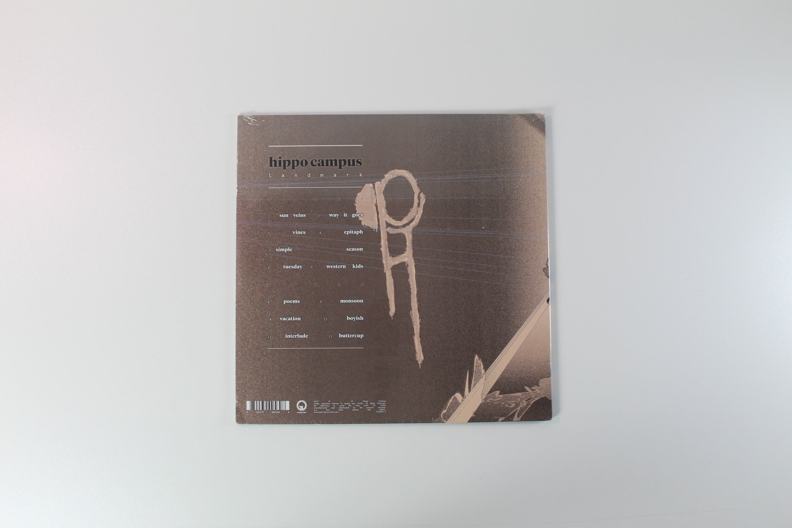 Hippo Campus - Landmark on Grand Jury Ltd Blue Vinyl Alternate Cover Sealed