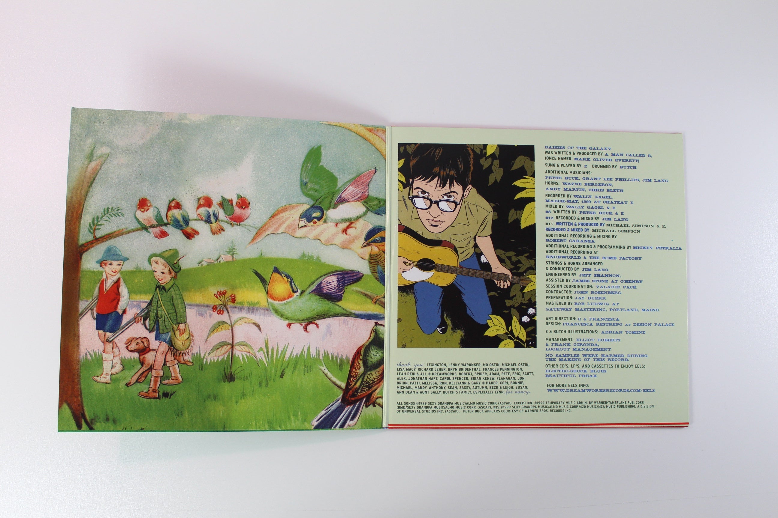 Eels - Daisies Of The Galaxy on Bong Load Ltd 180 Gram