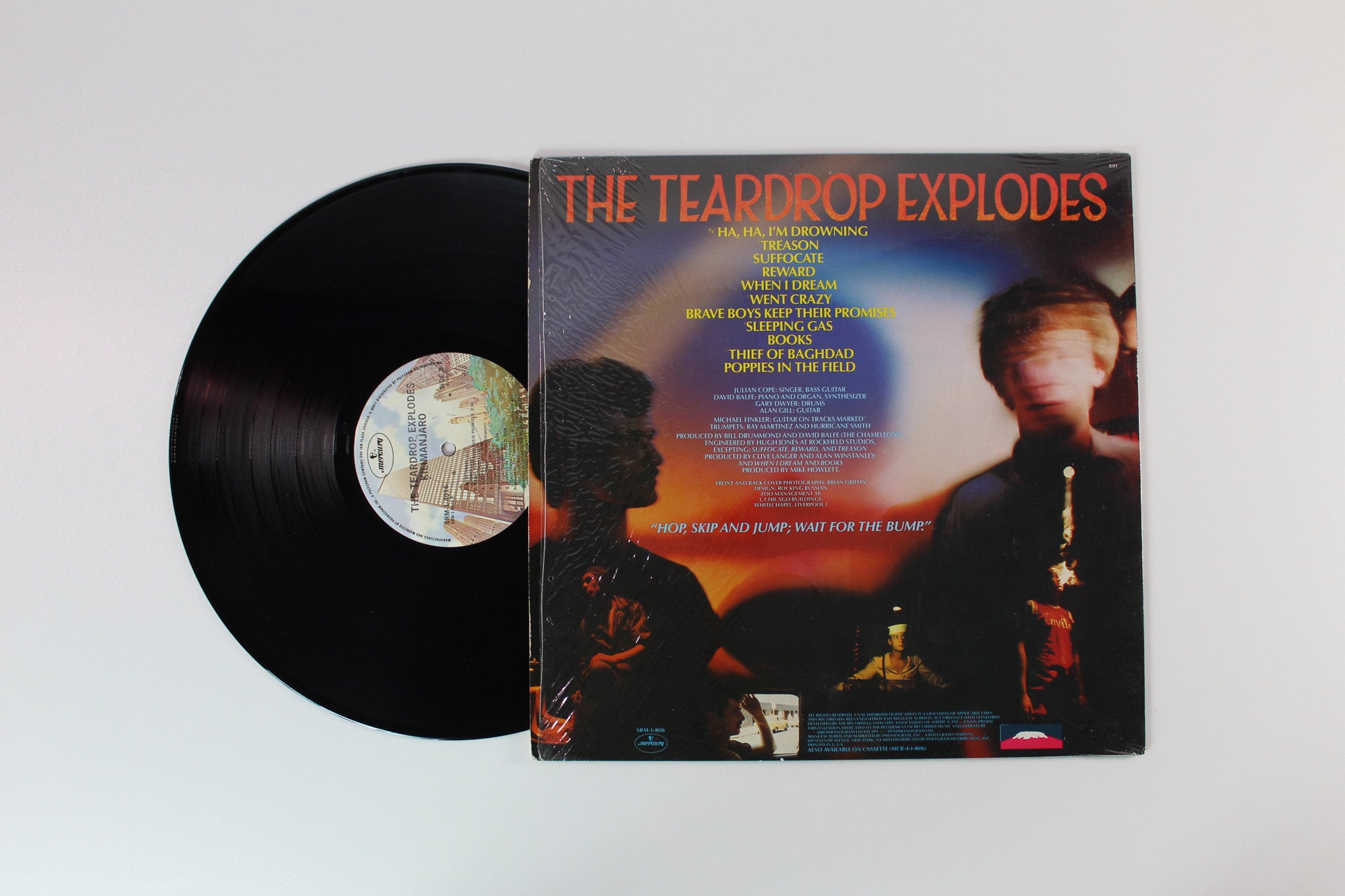 The Teardrop Explodes - Kilimanjaro on Mercury