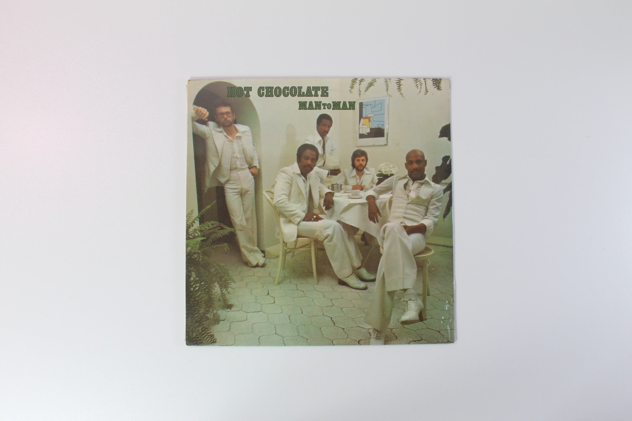 Hot Chocolate - Man To Man on Big Tree Records Sealed