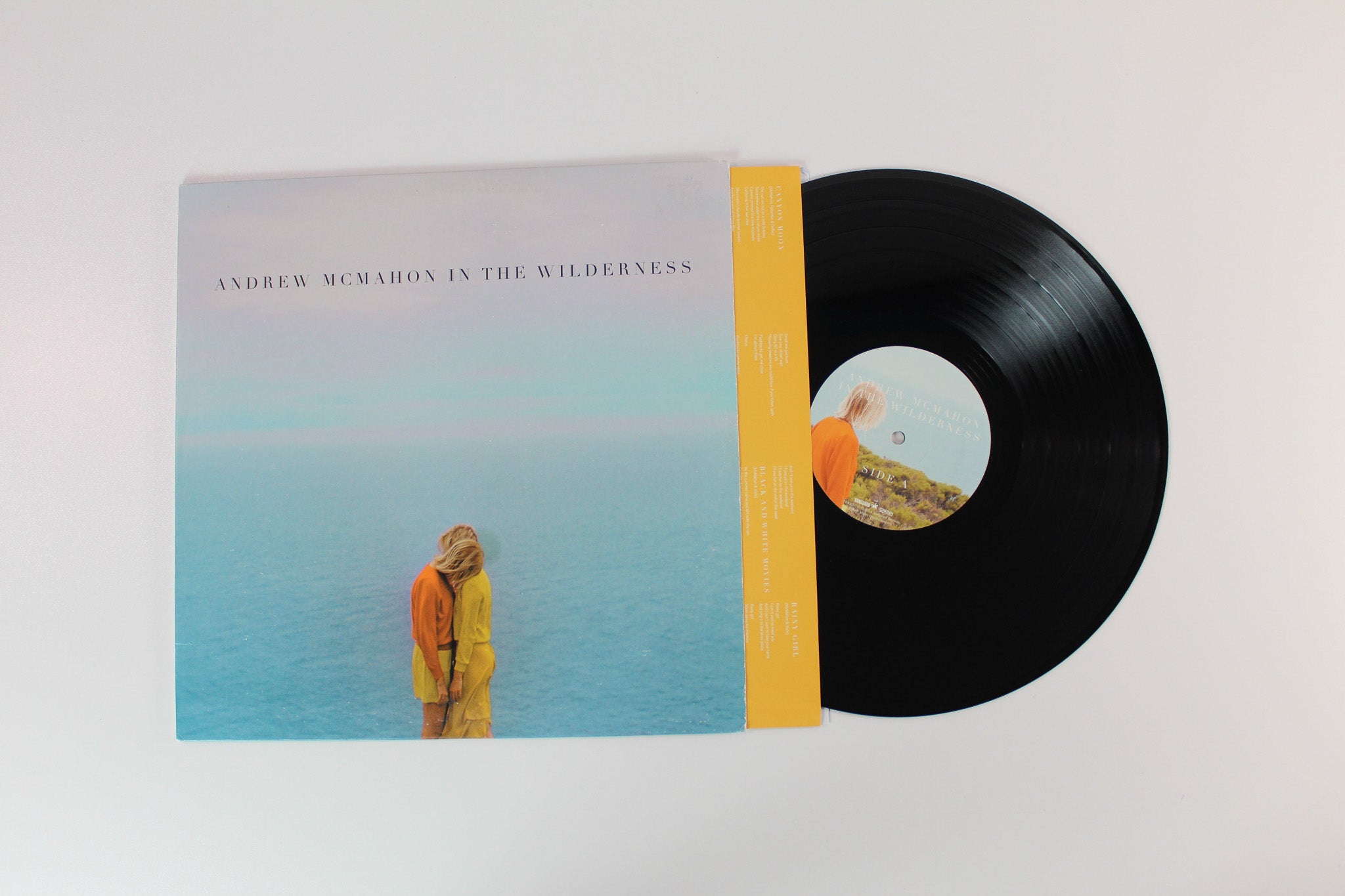 Andrew McMahon In The Wilderness - Andrew McMahon In The Wilderness on Vanguard / Crush