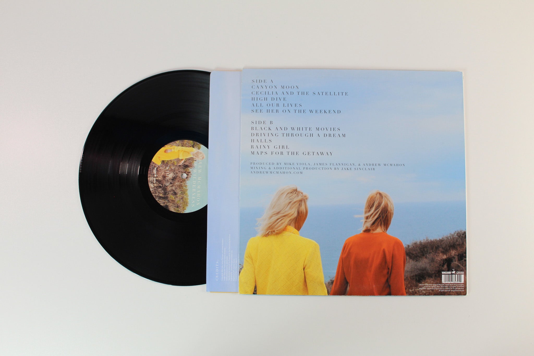 Andrew McMahon In The Wilderness - Andrew McMahon In The Wilderness on Vanguard / Crush