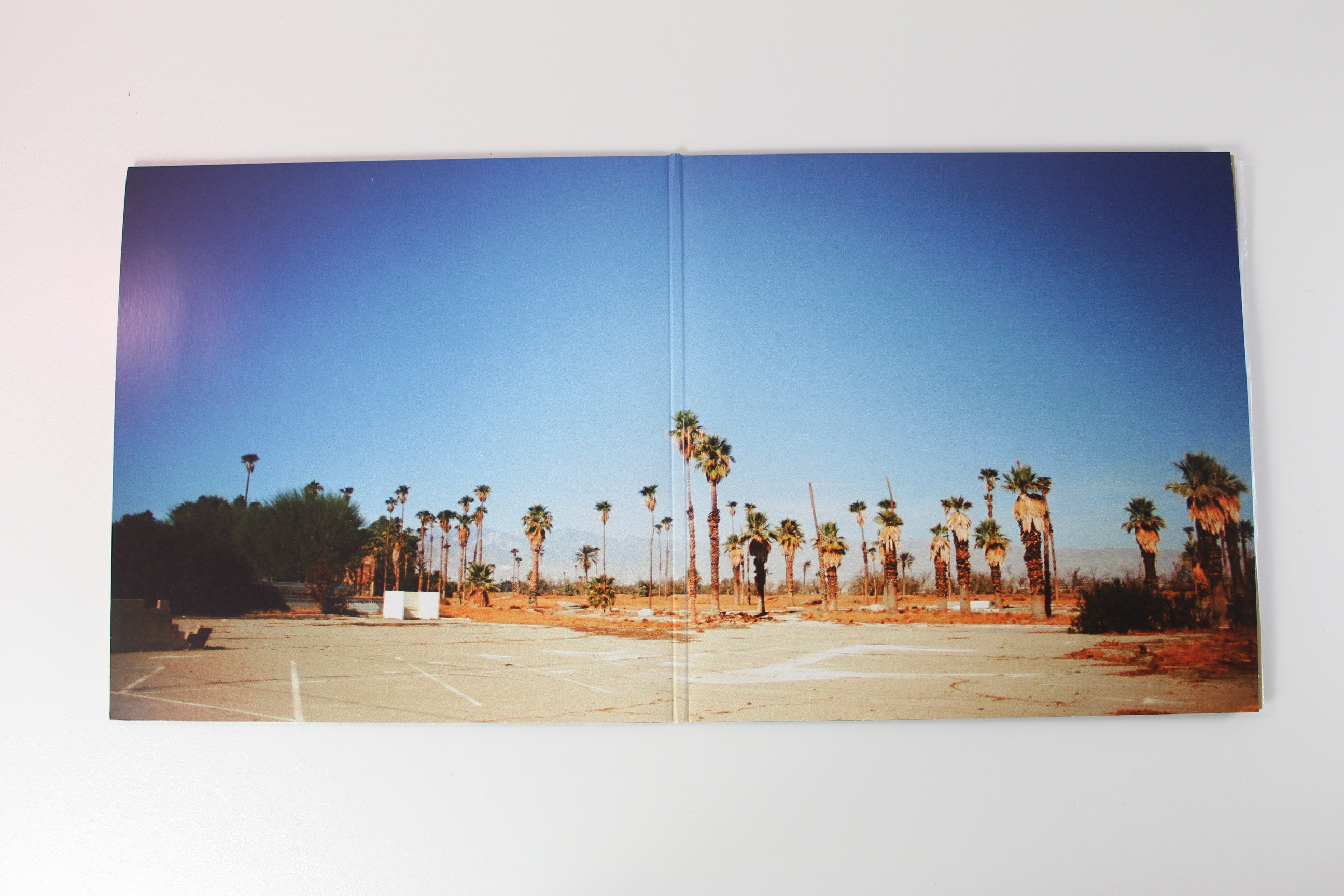 Unknown Mortal Orchestra - V on Jagjaguwar