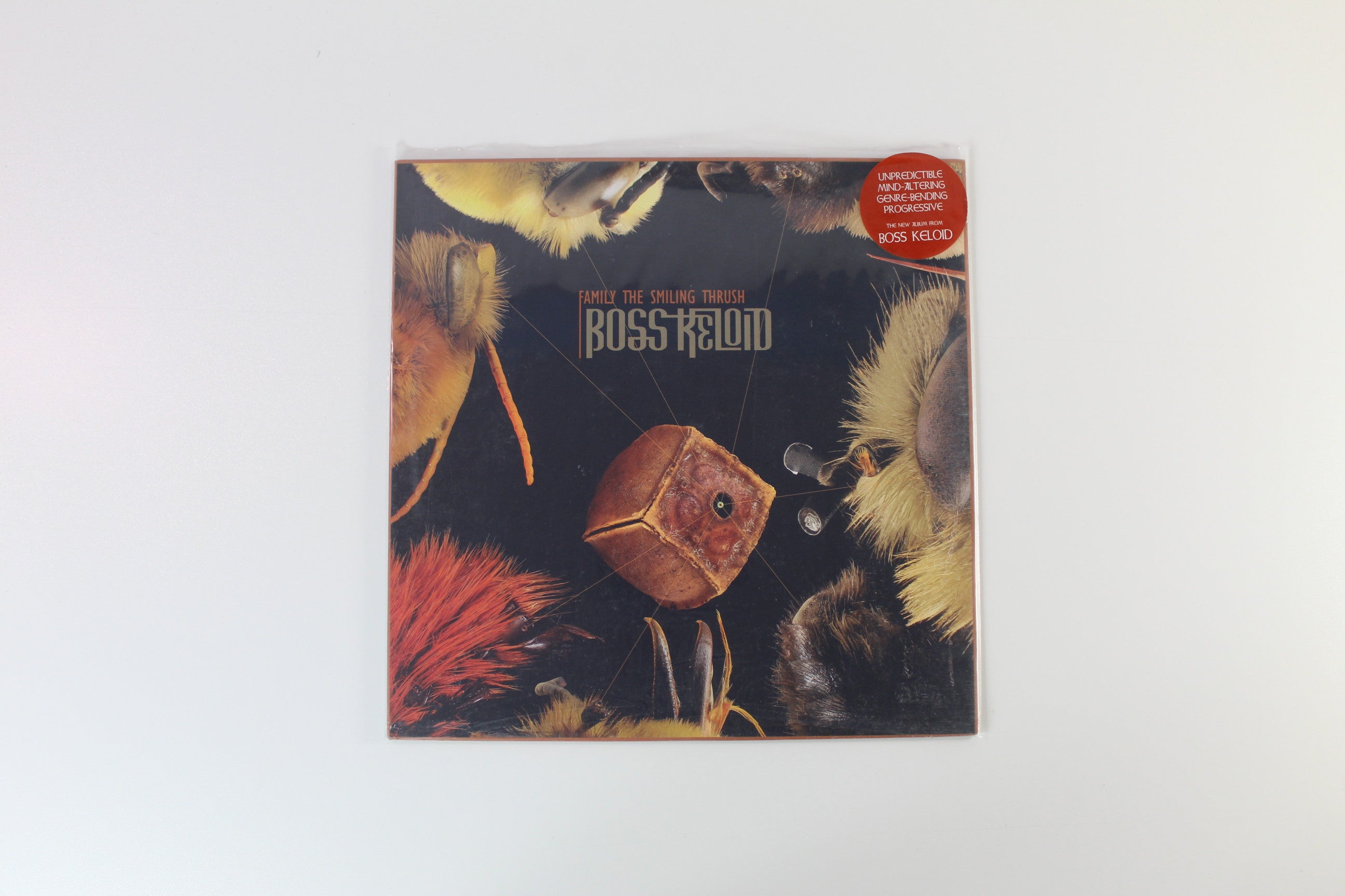 Boss Keloid - Family The Smiling Thrush on Ripple Music Ltd Green Color-Merge Swirled Vinyl