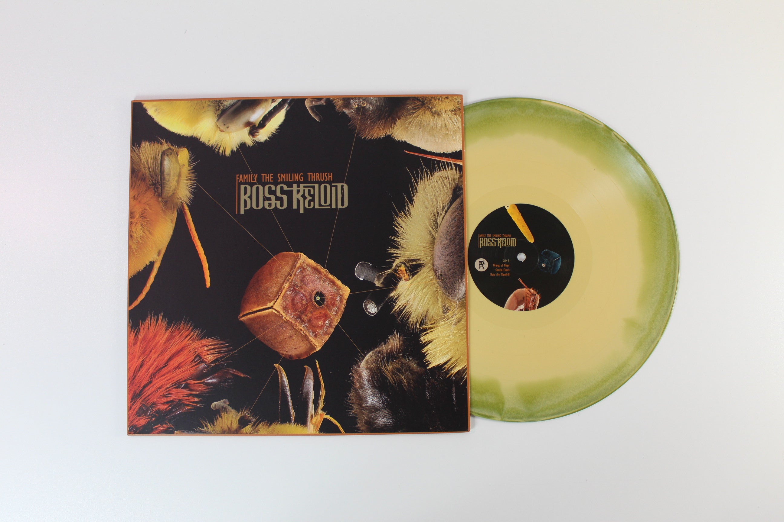 Boss Keloid - Family The Smiling Thrush on Ripple Music Ltd Green Color-Merge Swirled Vinyl
