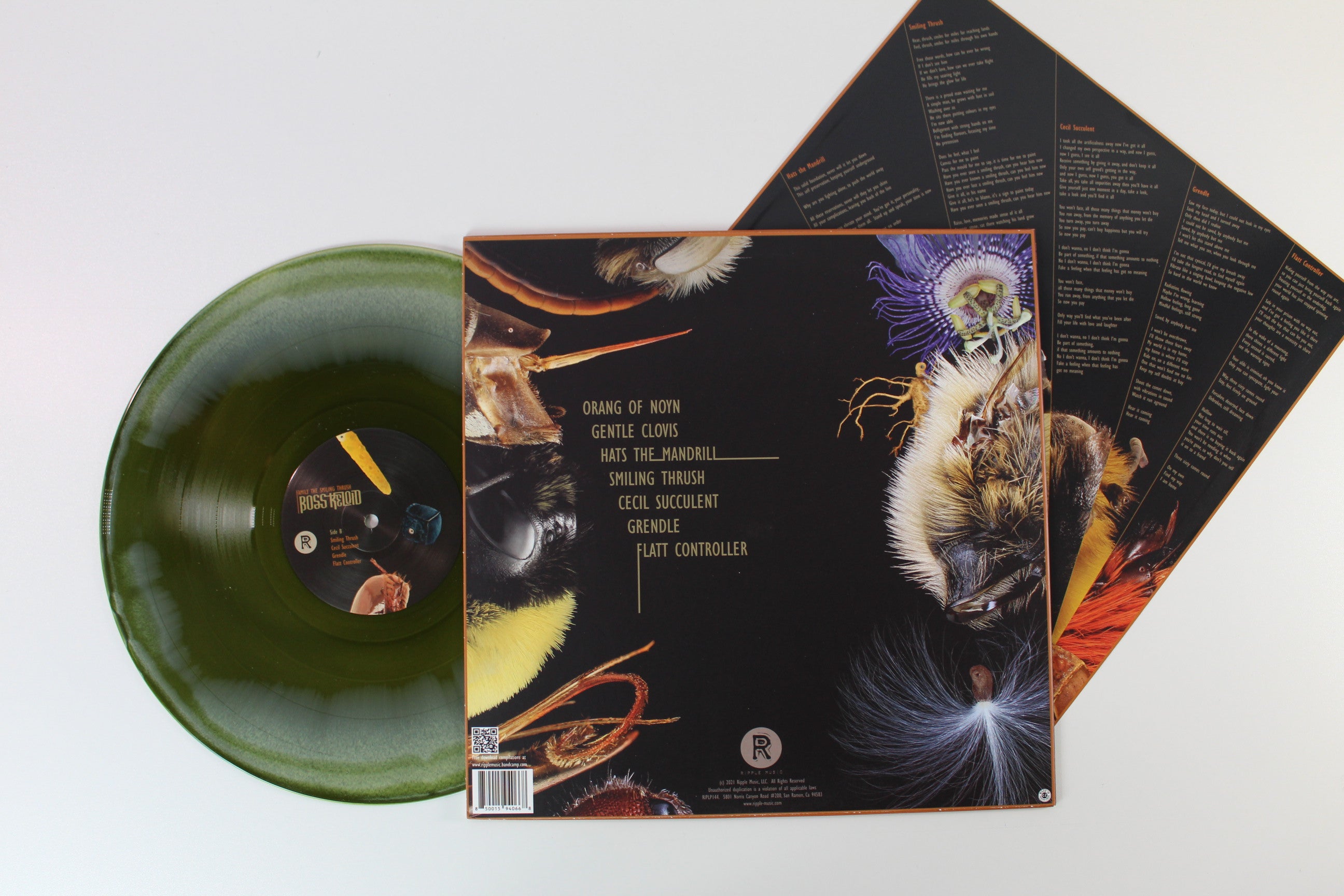 Boss Keloid - Family The Smiling Thrush on Ripple Music Ltd Green Color-Merge Swirled Vinyl
