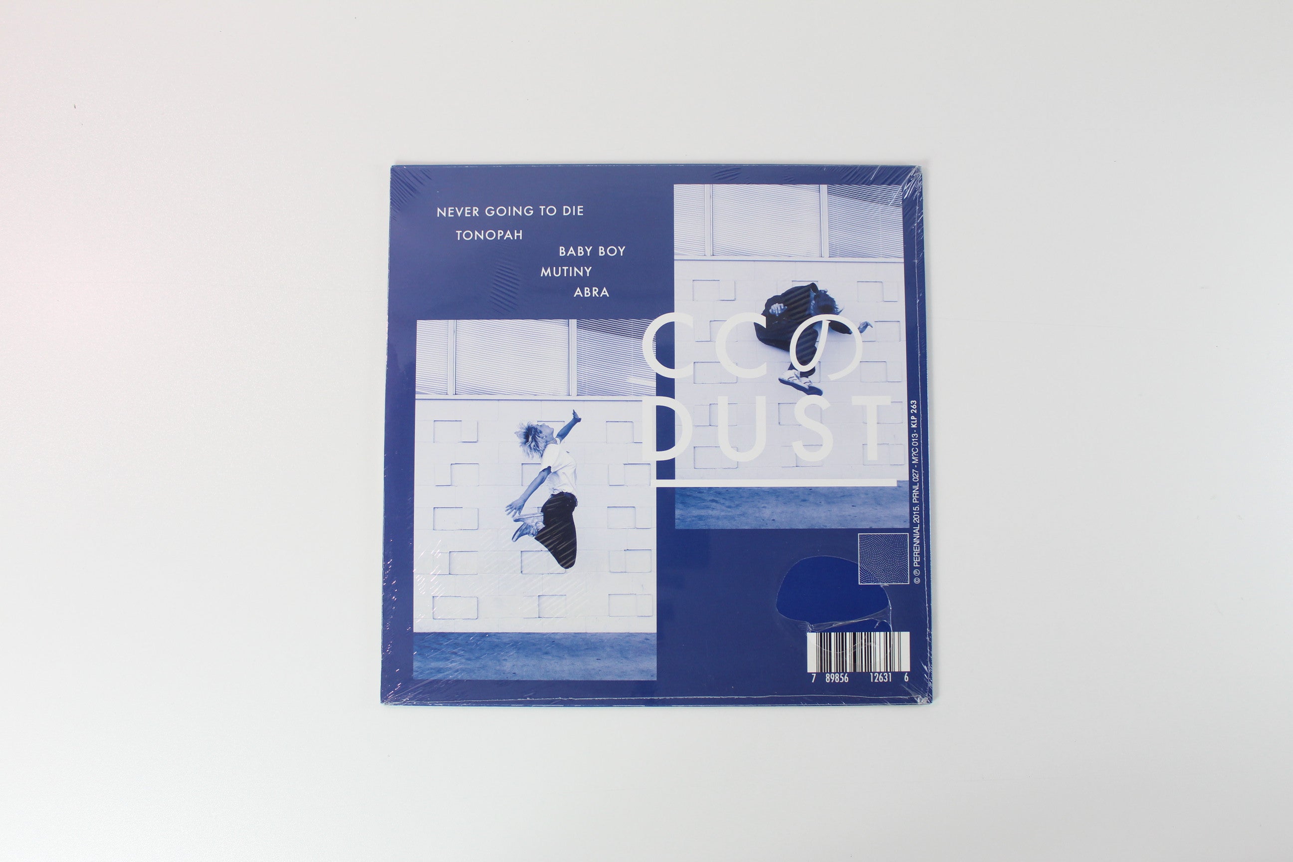 CC Dust - CC Dust on Perennial 12" 45 RPM EP Sealed