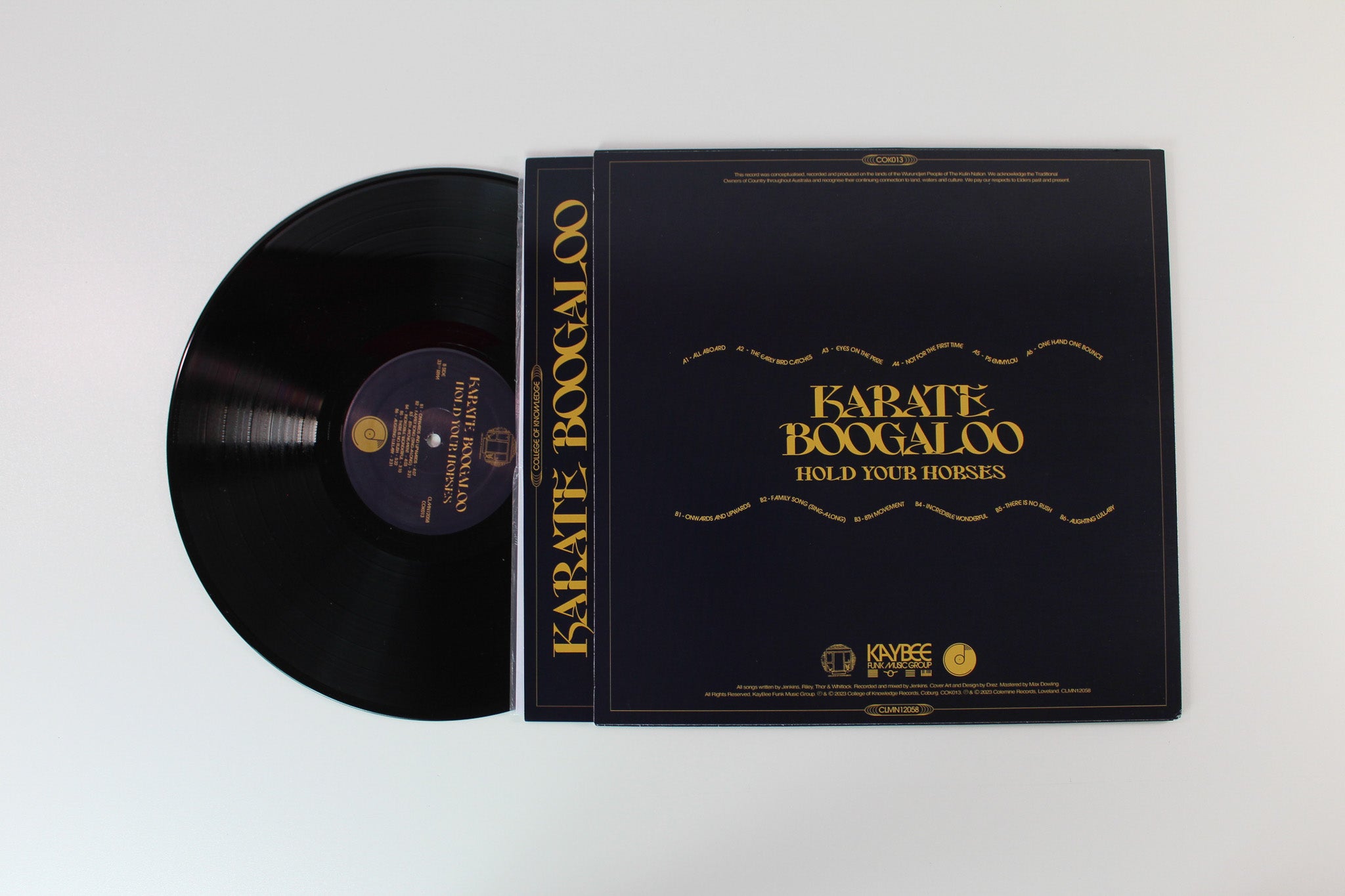 Karate Boogaloo - Hold Your Horses on Colemine Records
