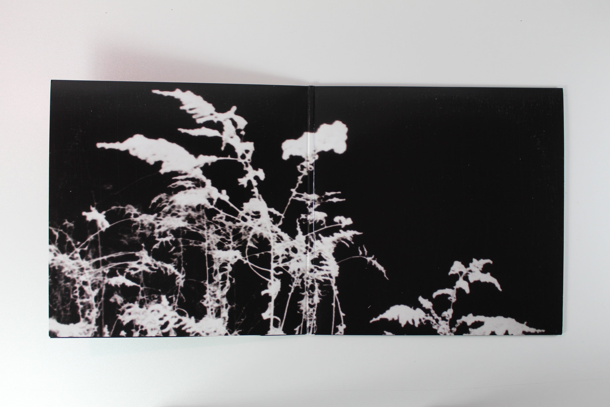 Charlotte Day Wilson - Alpha on Stone Woman Music Pink Vinyl