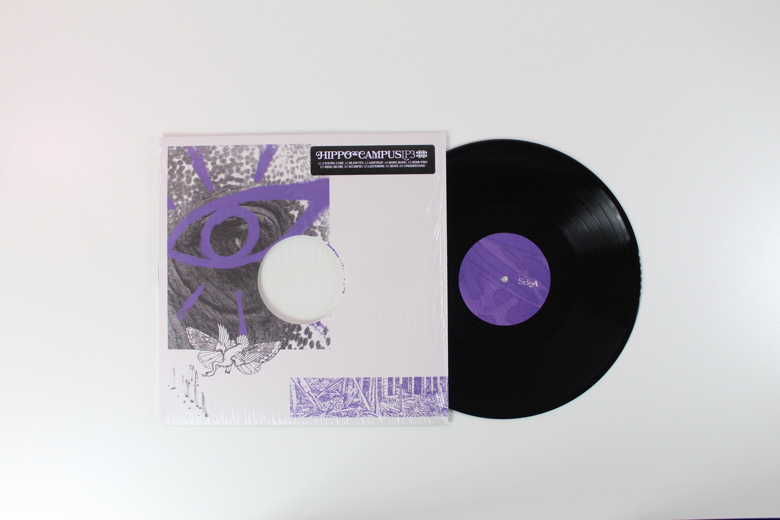 Hippo Campus - LP3 on Grand Jury