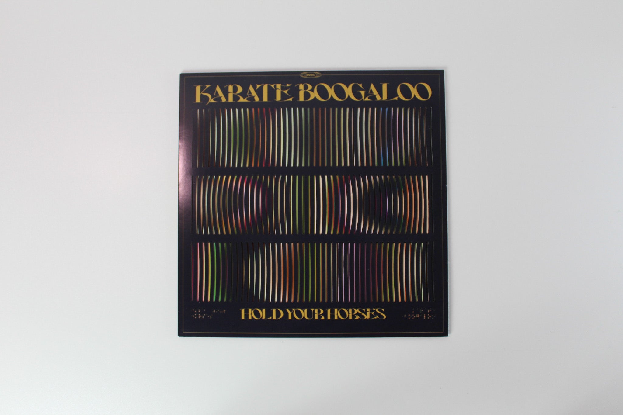 Karate Boogaloo - Hold Your Horses Ltd. on Colemine Records