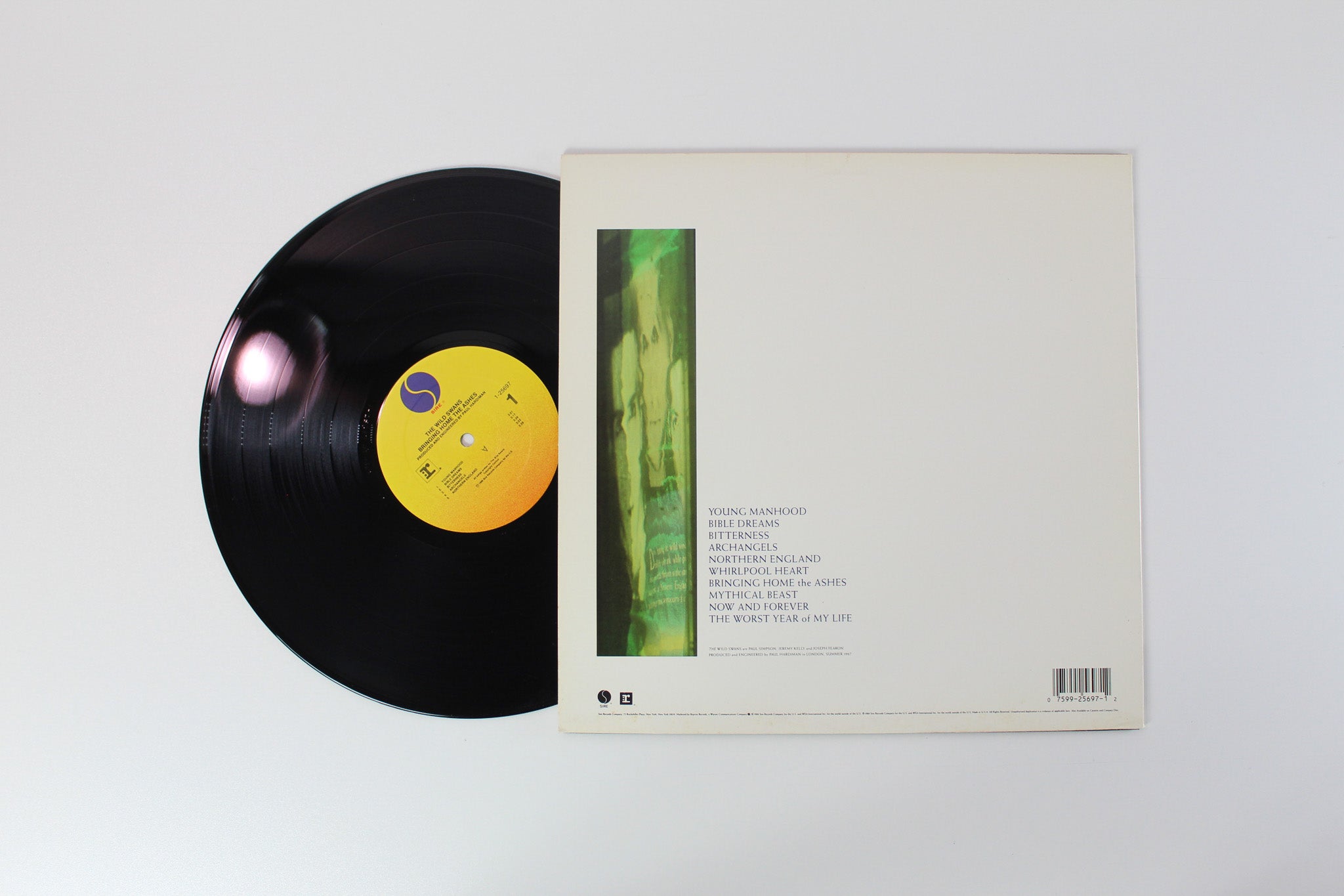 The Wild Swans - Bringing Home The Ashes on Sire