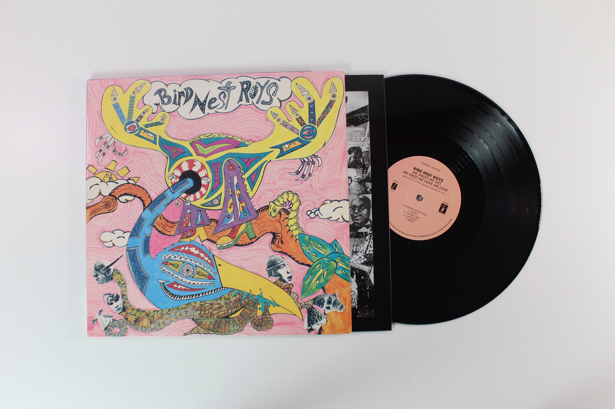 Bird Nest Roys - Me Want Me Get Me Need Me Have Me Love on Flying Nun Records / Captured Tracks