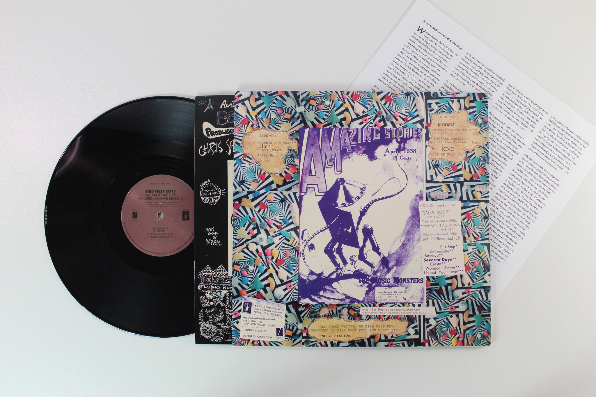Bird Nest Roys - Me Want Me Get Me Need Me Have Me Love on Flying Nun Records / Captured Tracks
