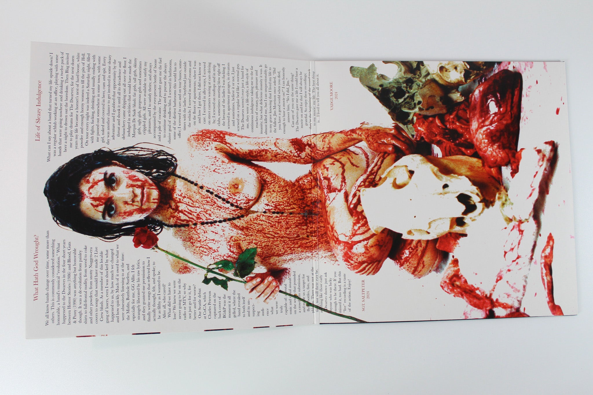 Dwarves - Sunshine Lollipops And Rainbows on Greedy RSD 2025 Ltd Picture Disc