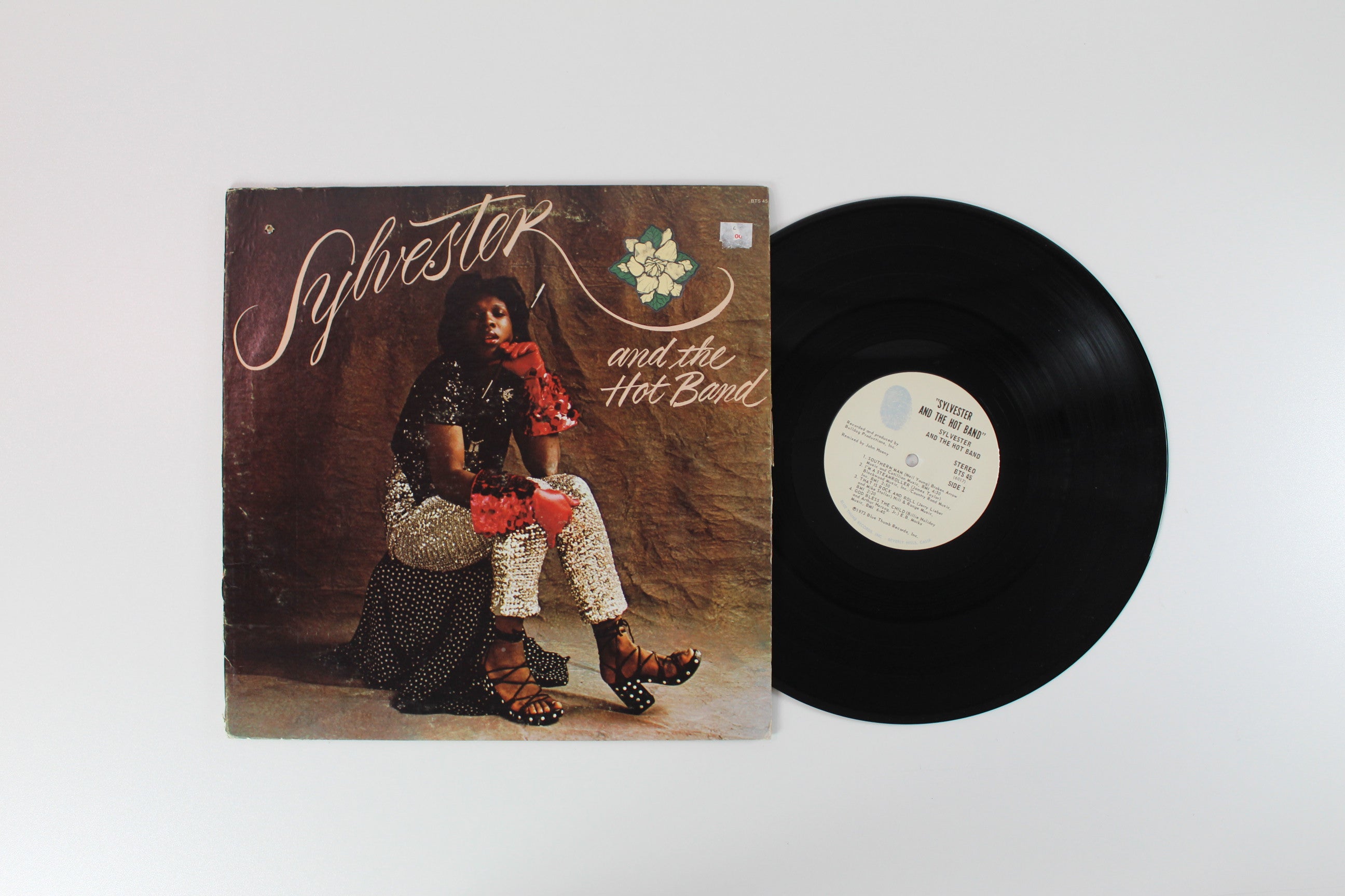 Sylvester And The Hot Band - Sylvester And The Hot Band on Blue Thumb Records