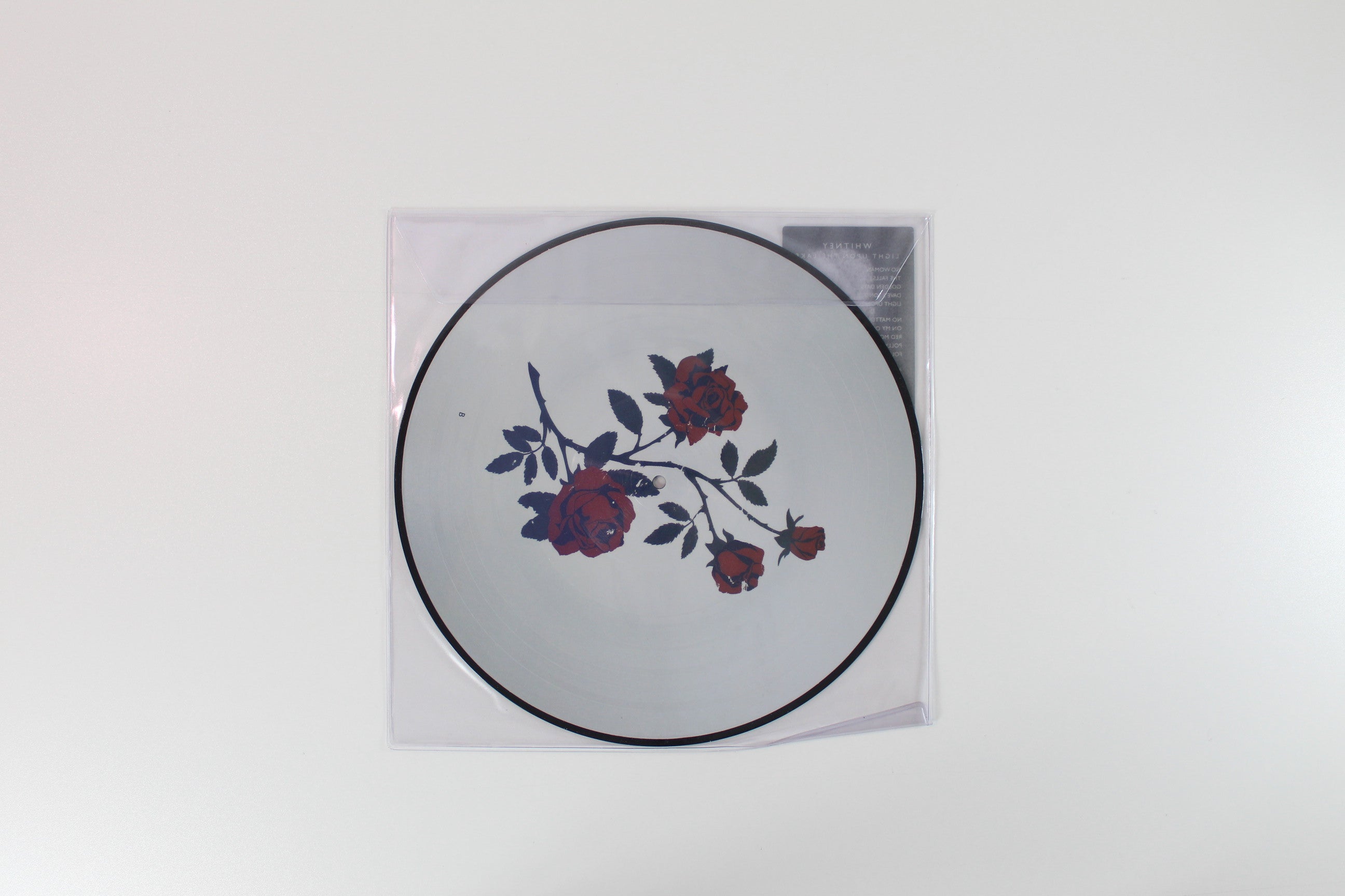 Whitney - Light Upon The Lake on Secretly Canadian - Picture Disc Vinyl