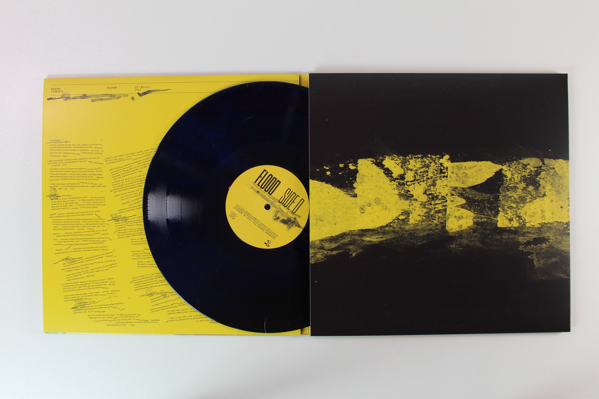 Hippo Campus - Flood on Psychic Hotline Bandcamp Exclusive Azure Dream Vinyl